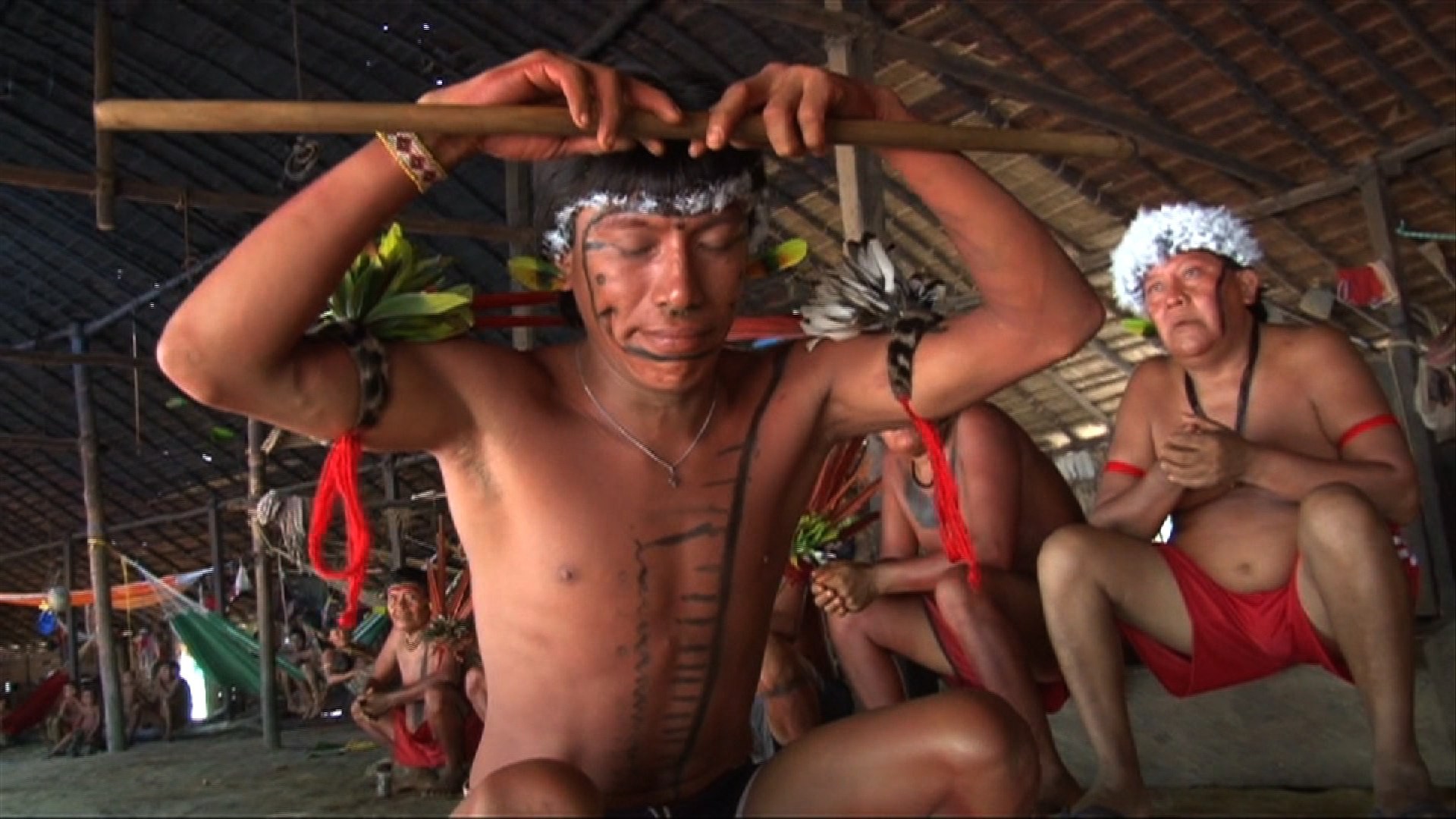 Urihi Haromatipë – Curadores da terra-floresta