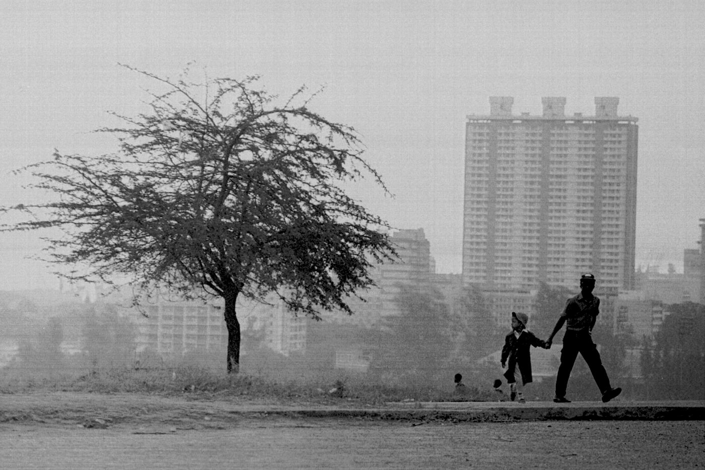 Afro-Lusophone Artists Grapple with Memory in New Book