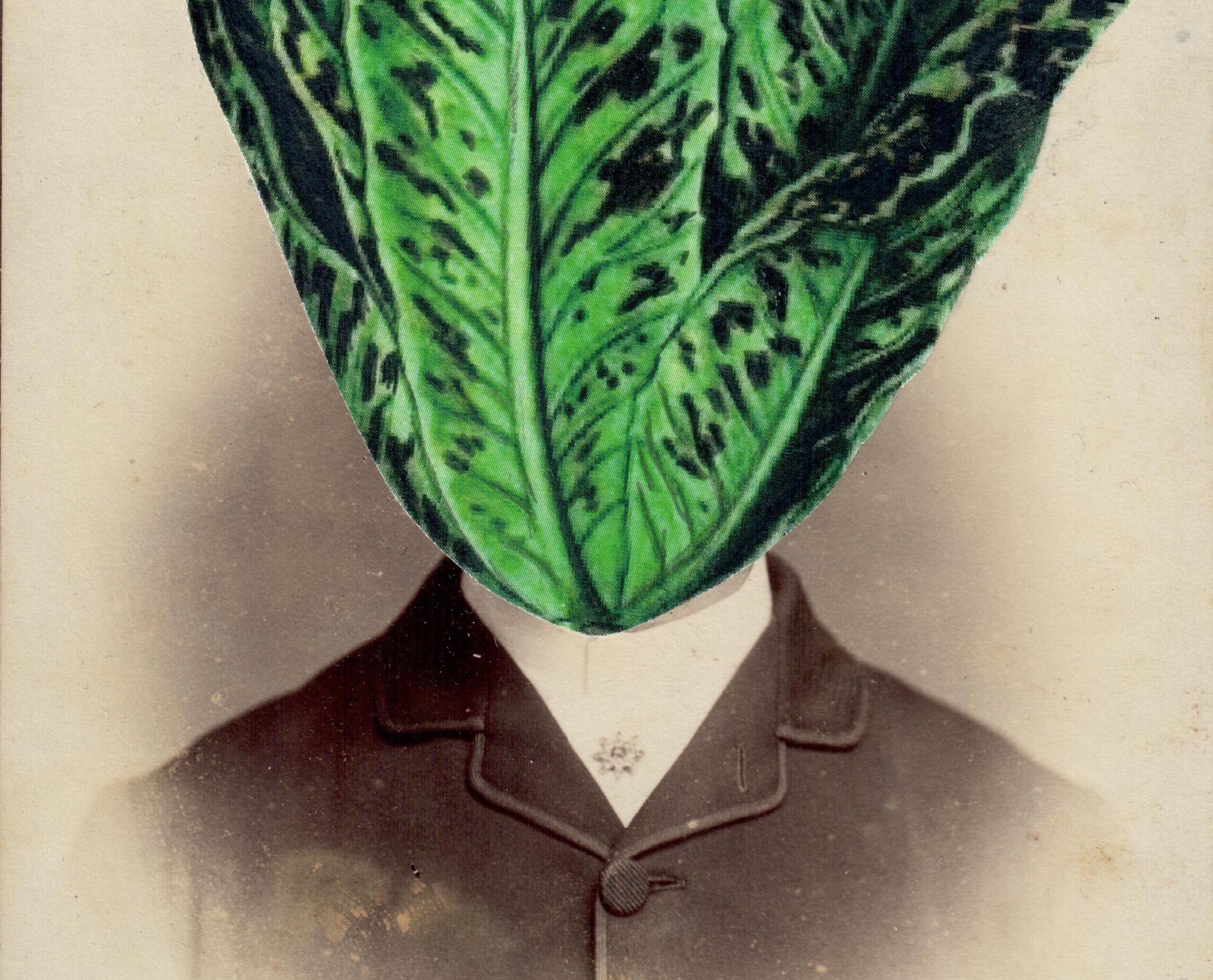 Intersections – Within the Global South