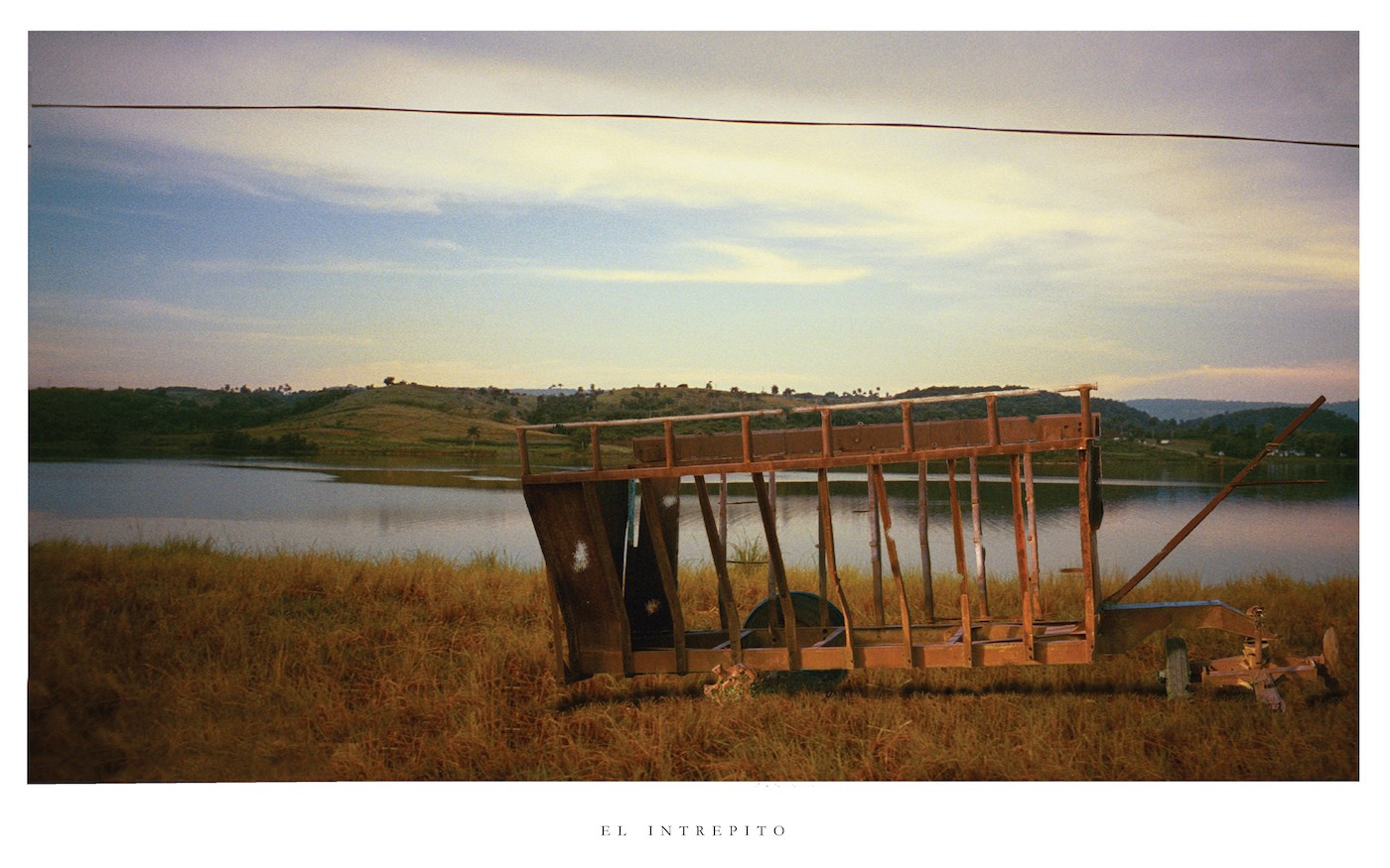 Sugarcane in Caribbean Art