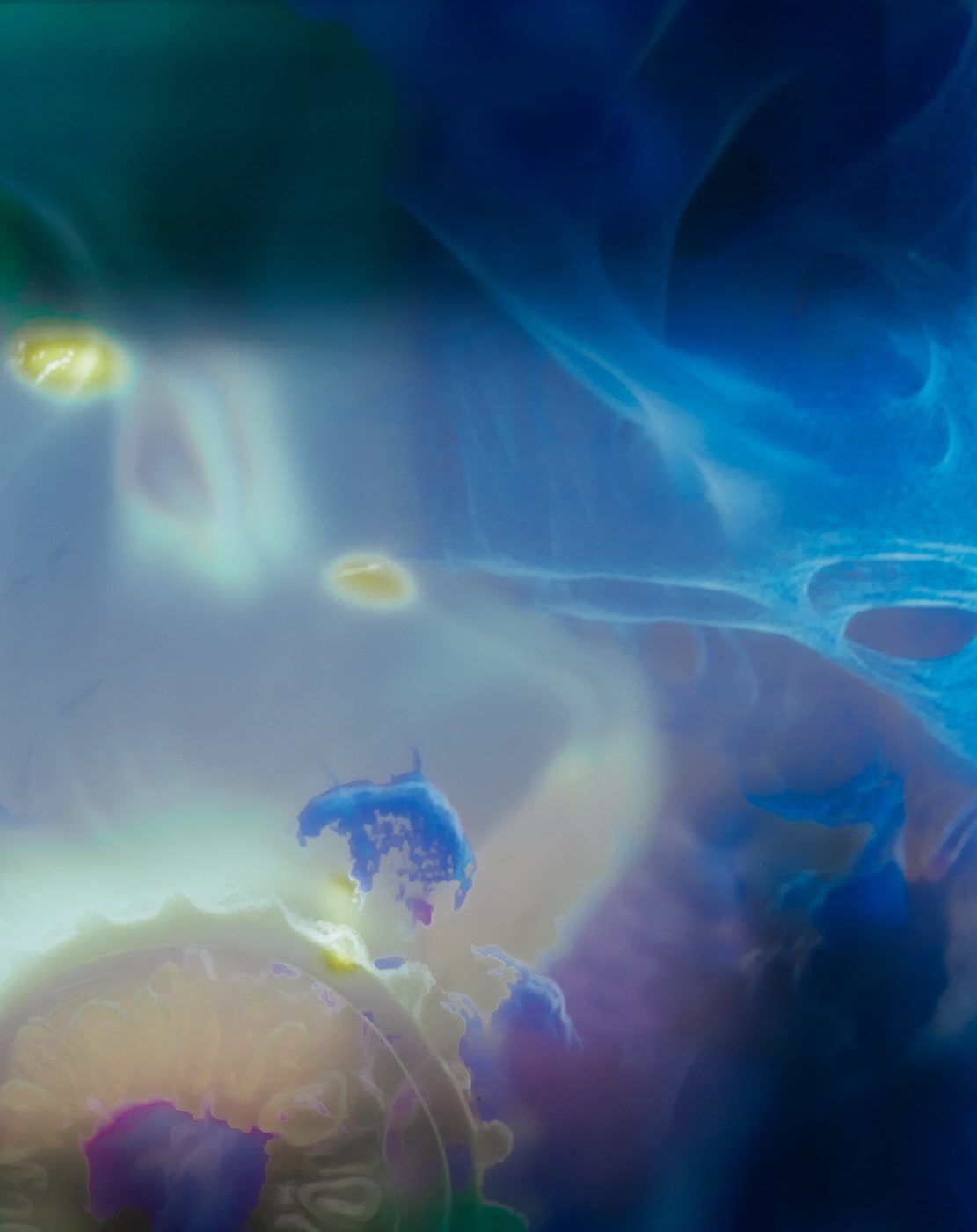 Jazsalyn, A(spora), 2025. Installation view at John Chavis Memorial Park, Raleigh, NC, US. Courtesy the artist and Raleigh Arts. Photographer: Jude McDonald.