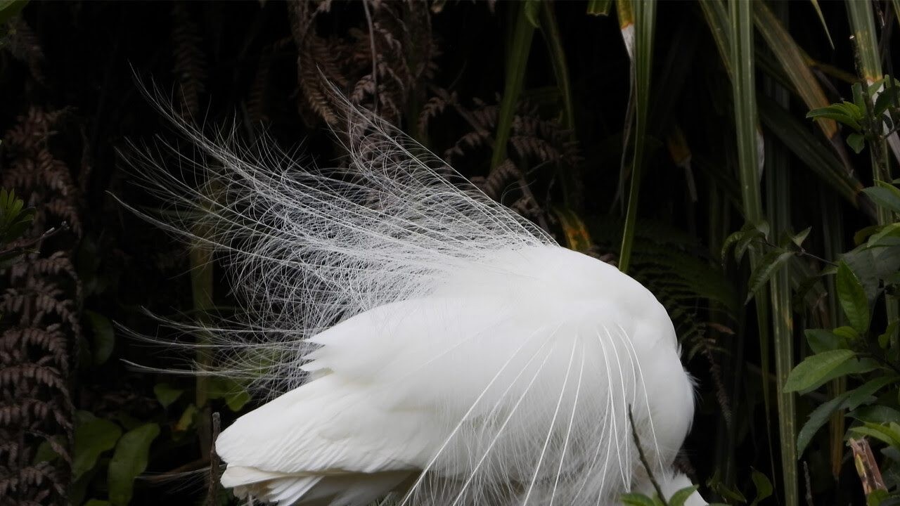 Thinking Hands,Touching Each Other