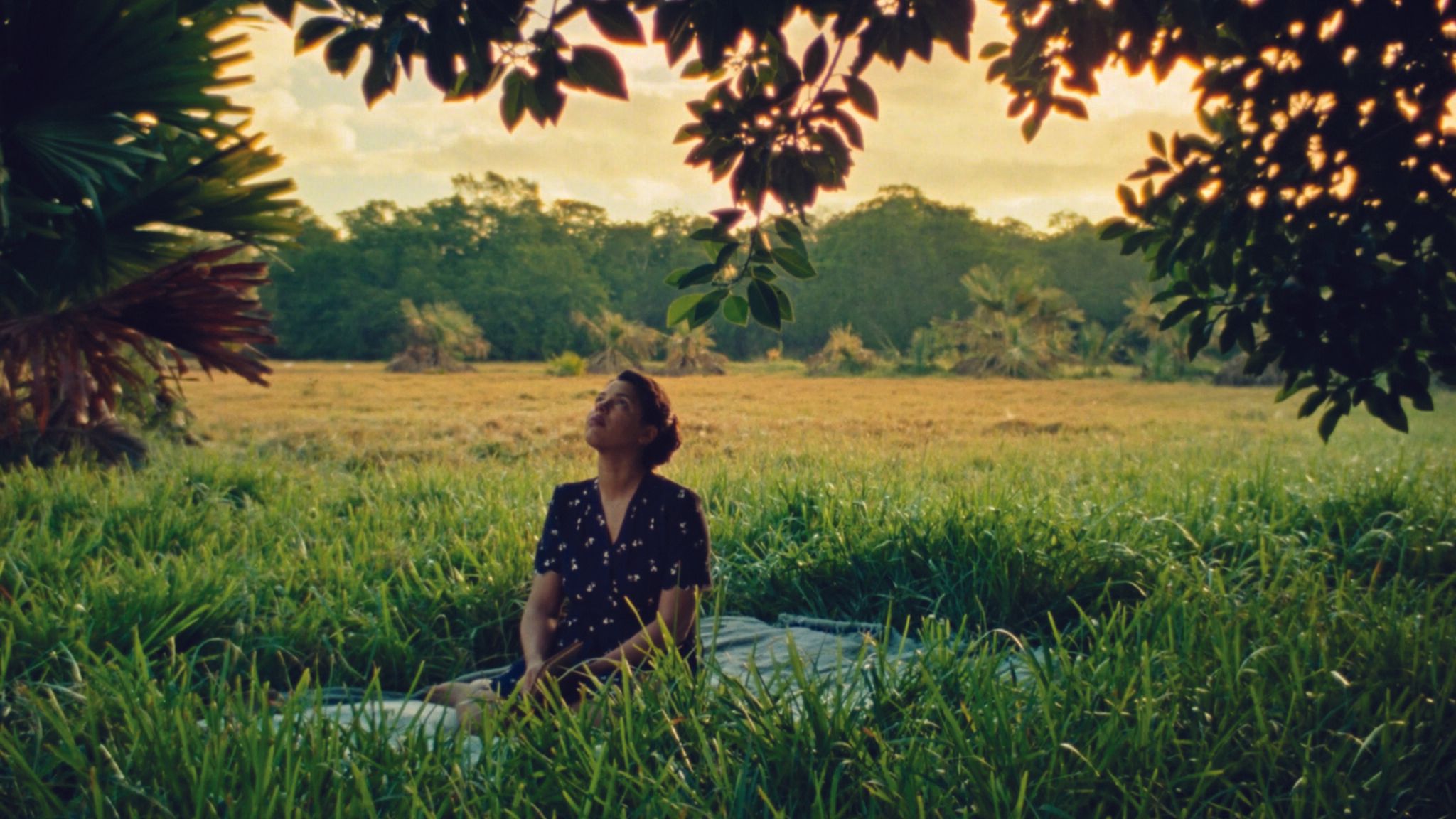 Reading Suzanne Césaire