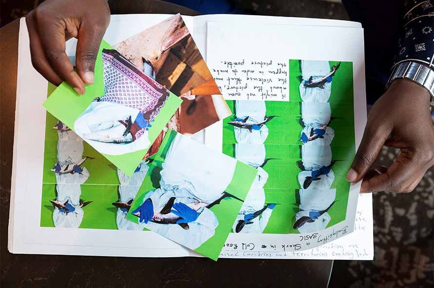 Kelvin Haizel: Babysitting a Shark in a Coldroom – Comoros Encounters