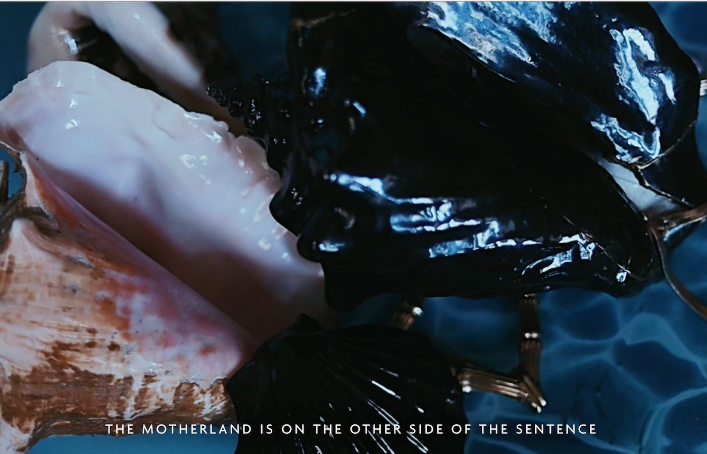 Patricia Encarnación: Confluence – Endezo