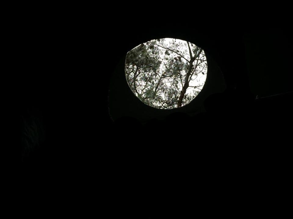 Genote. Pablo Vargas Lugo