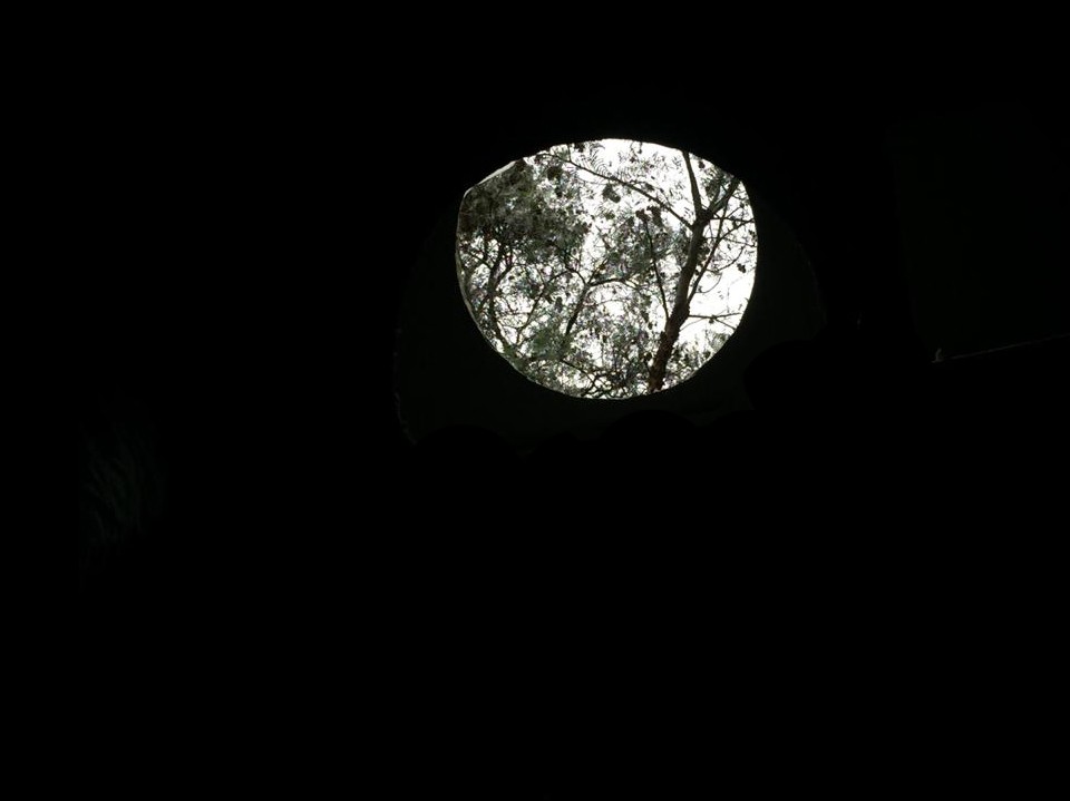 Genote. Pablo Vargas Lugo