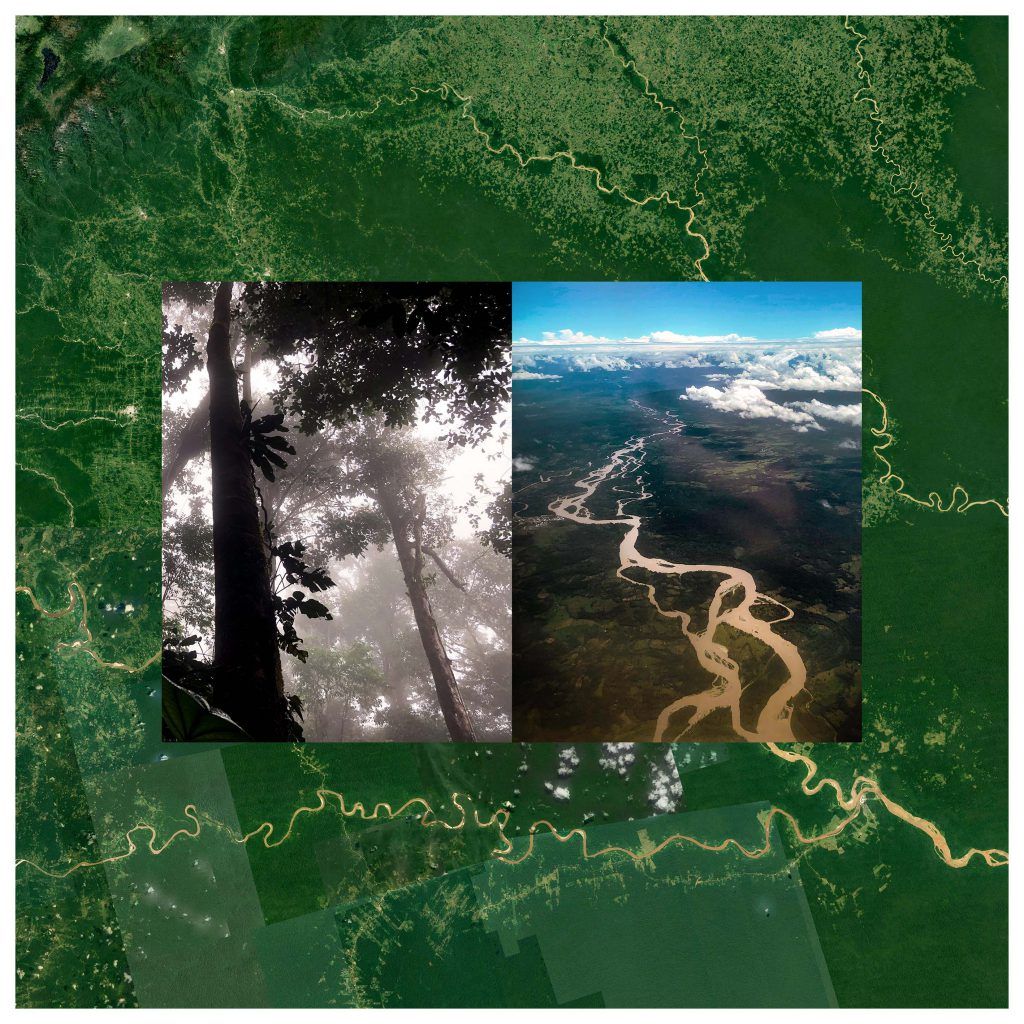 Felipe Castelblanco, Collage de "Rió", 2018. Courtesy of the gallery.