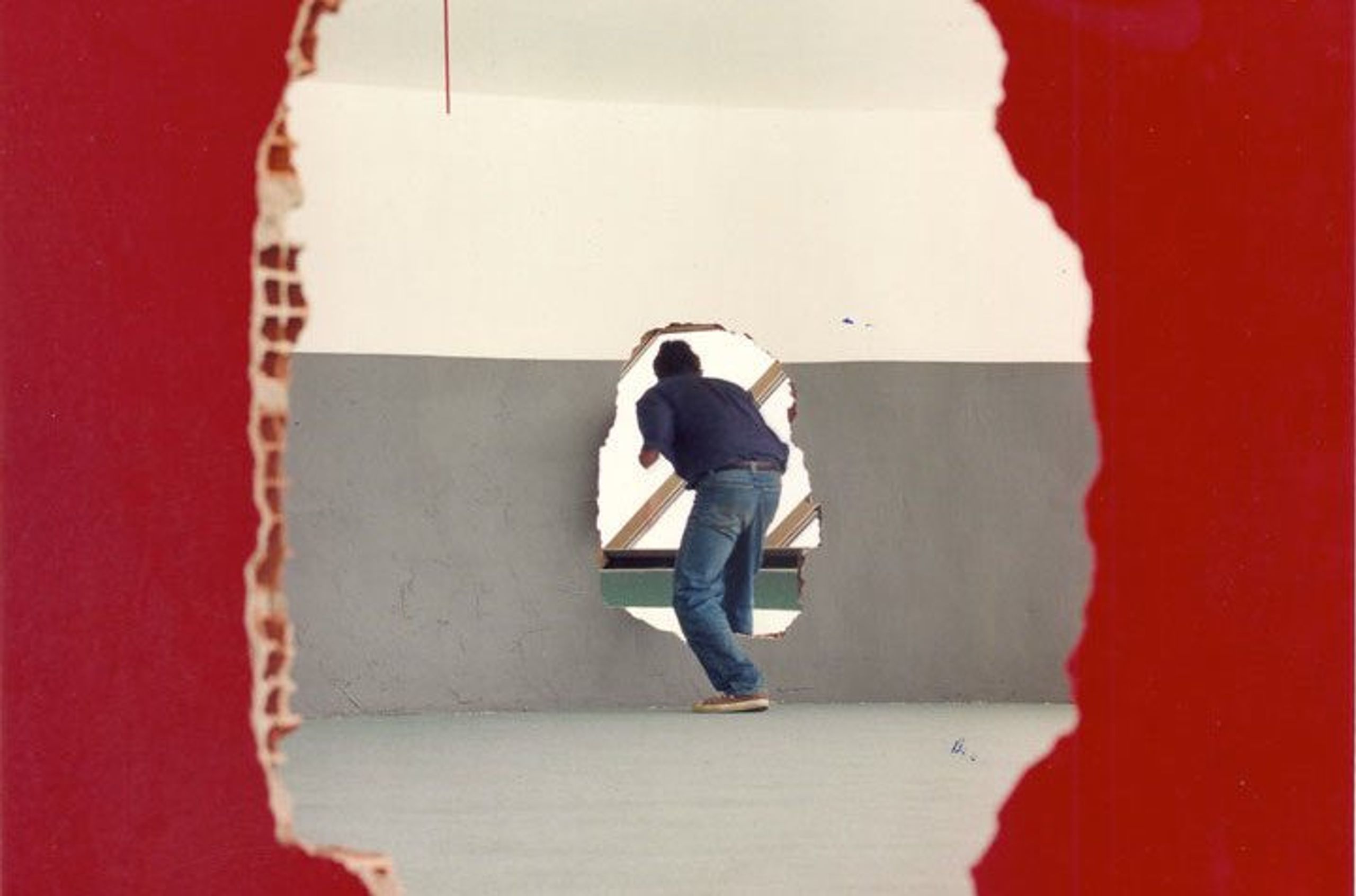 “So much that it doesn't fit here” - The Brazilian Pavilion at the 56 Venice Biennale