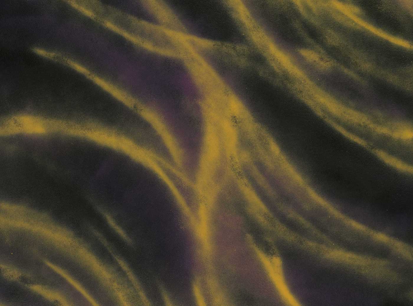 Tim Whiten: Tools of Conveyance