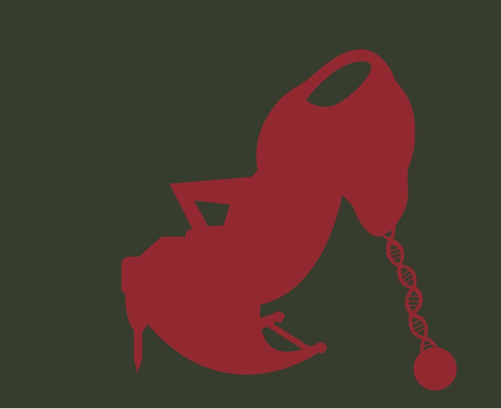 MONA MARZOUK : TRAYVON