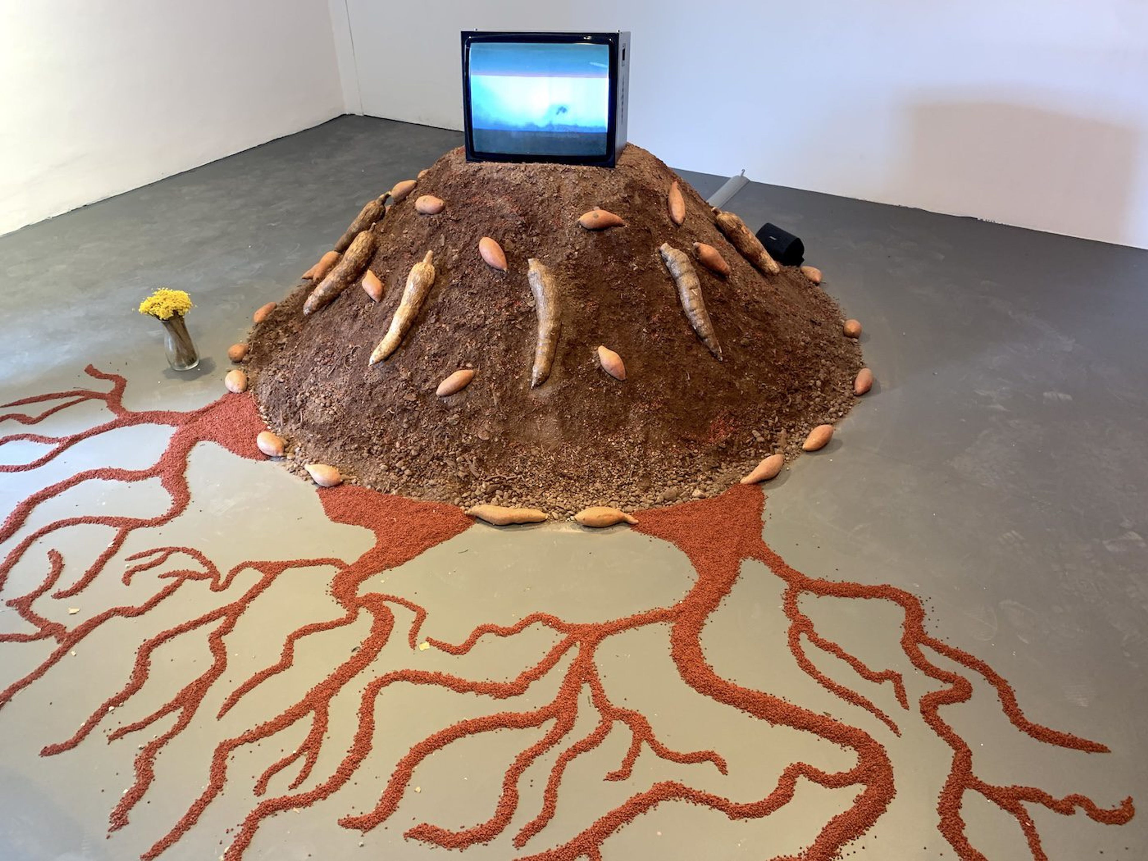 Glicéria Tupinambá in collaboration with Tupinambá Community of Serra do Padeiro and Olivença. Installation View of National Pavilion of Hãhãwpuá (Brazil), 60th Venice Biennale. Photo: C&amp;