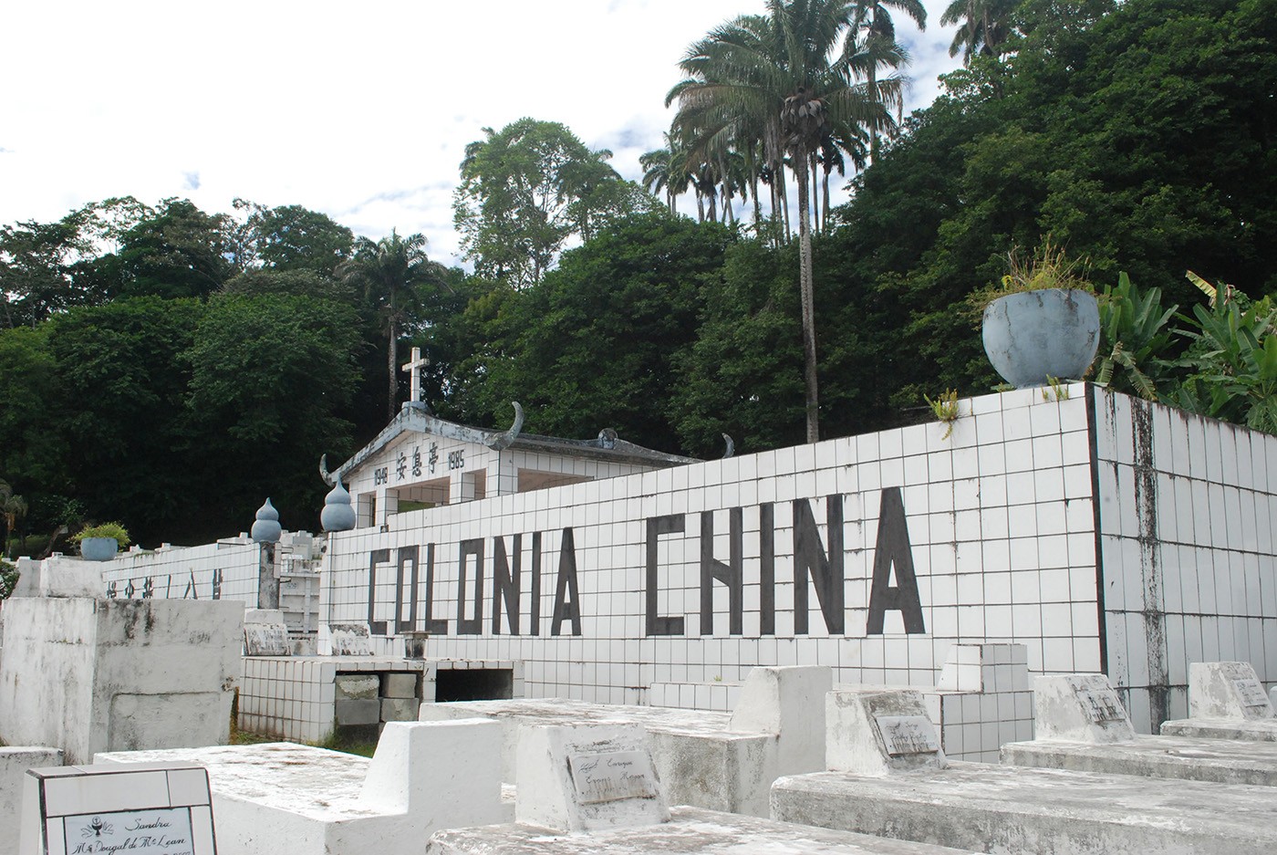 Colonia china (2014), Mimian Hsu. Courtesy of the artist.