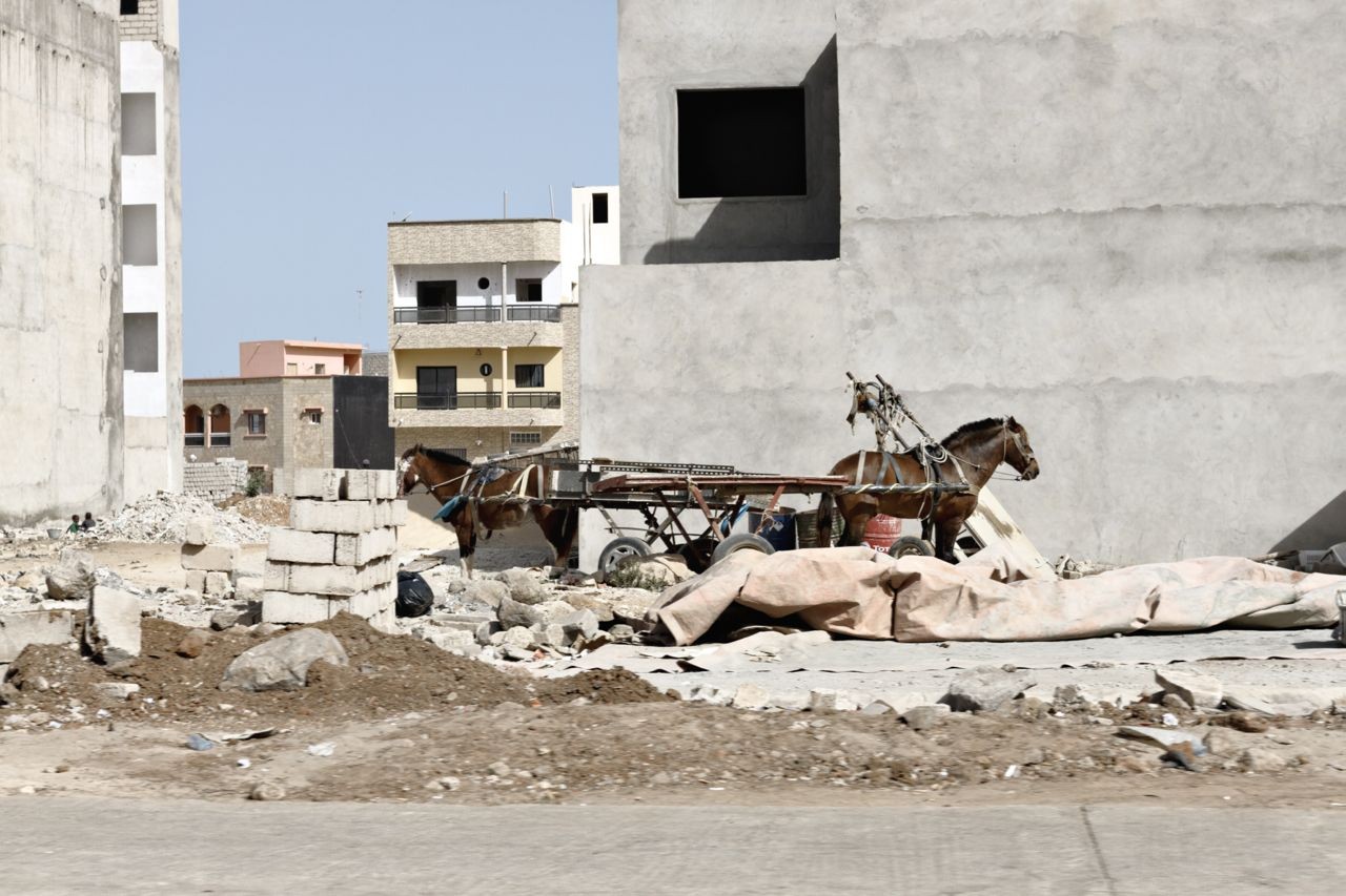 MAME-DIARRA NIANG: AT THE WALL