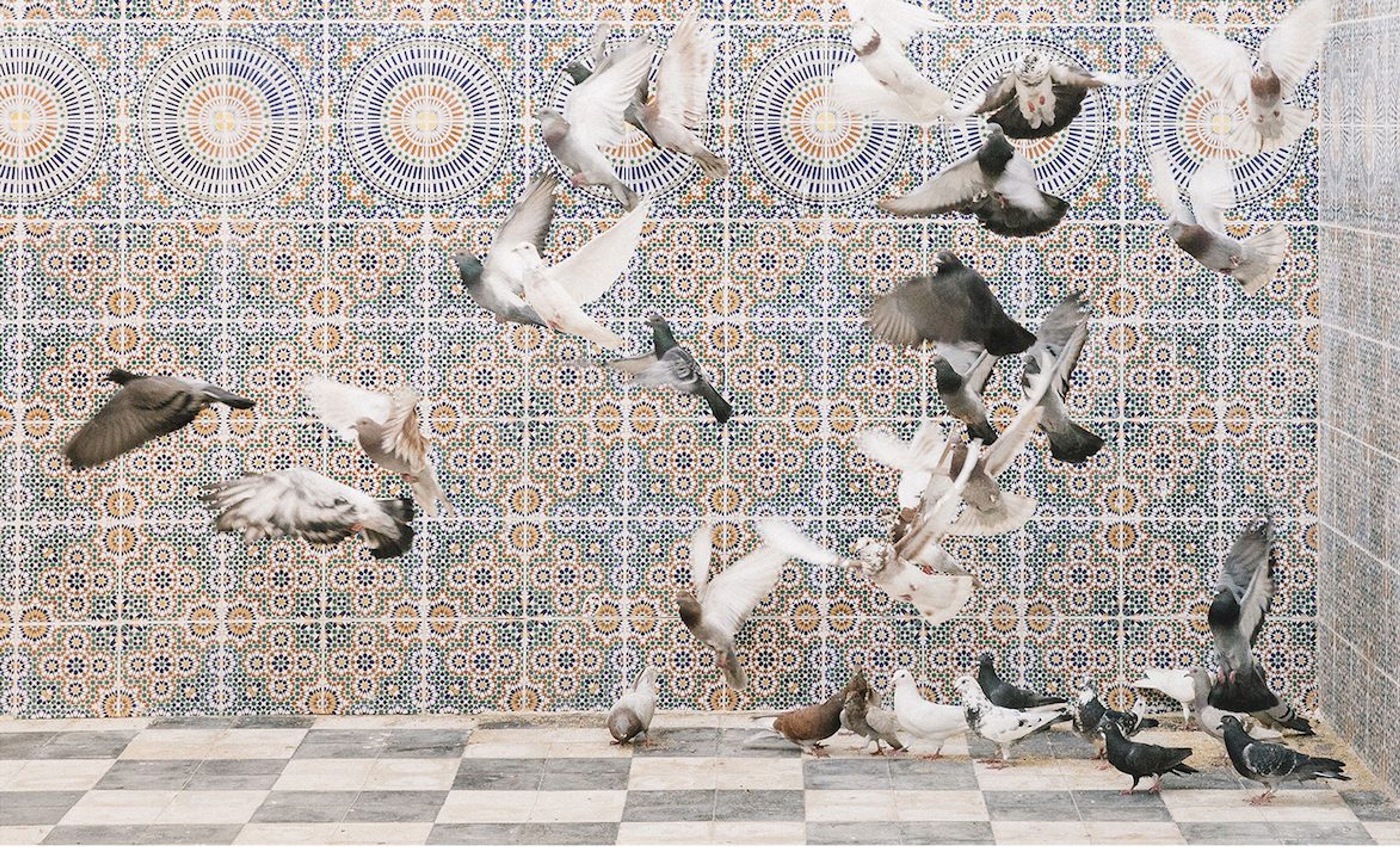 YaPhoto Festival 2019