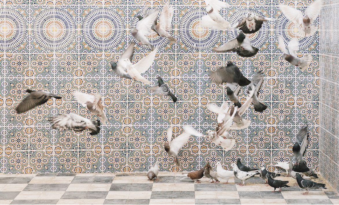 YaPhoto Festival 2019