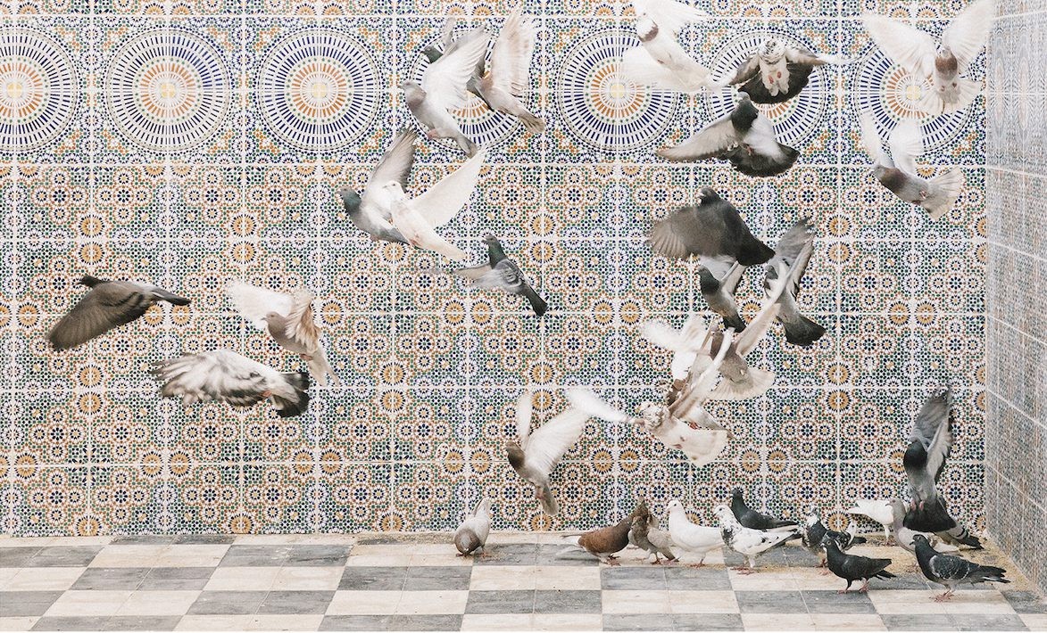 YaPhoto Festival 2019