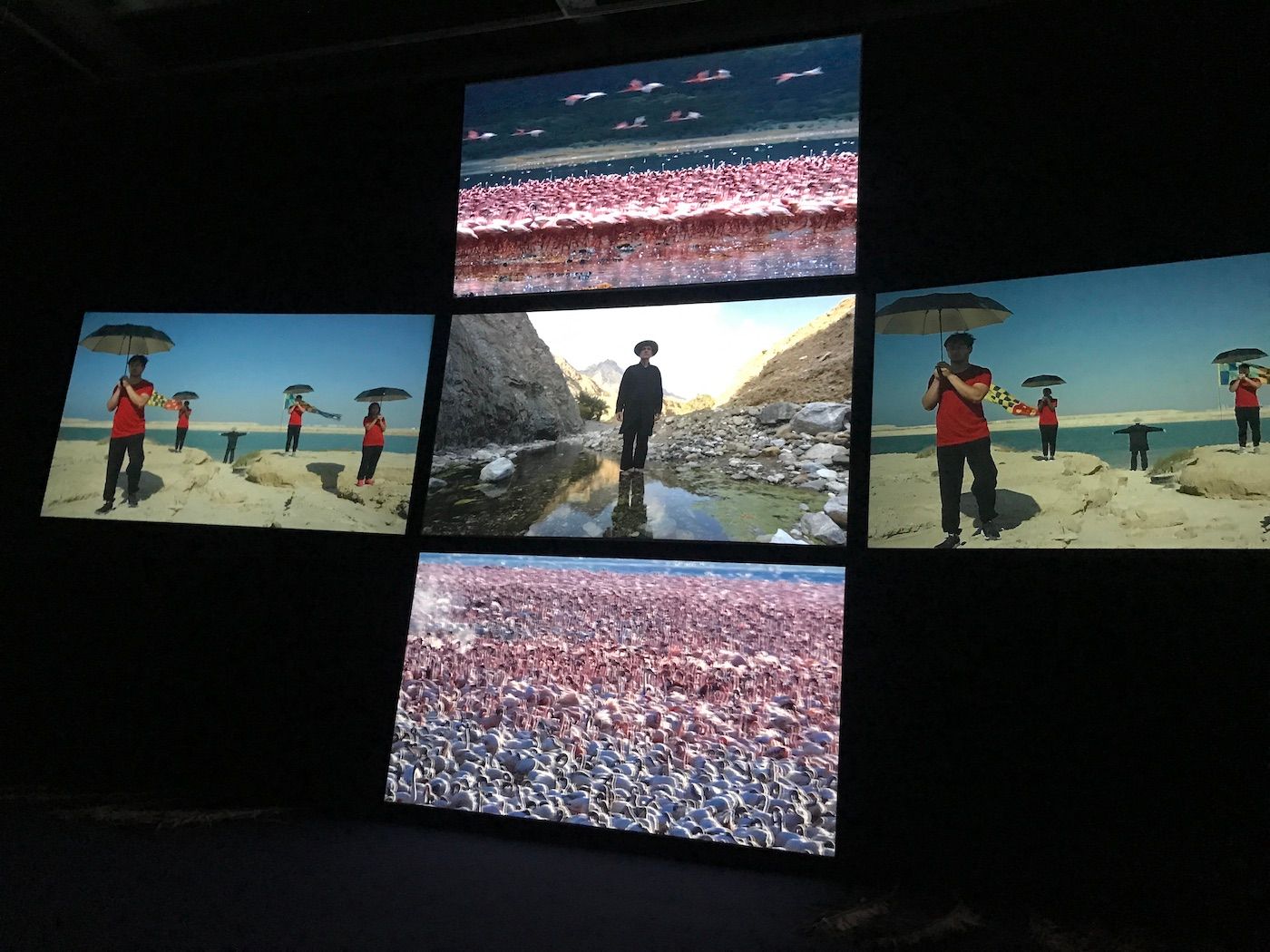 John Akomfrah Arcadia, (Detail). Installation view at Sharjah Biennial 15. Photo: C&amp;.