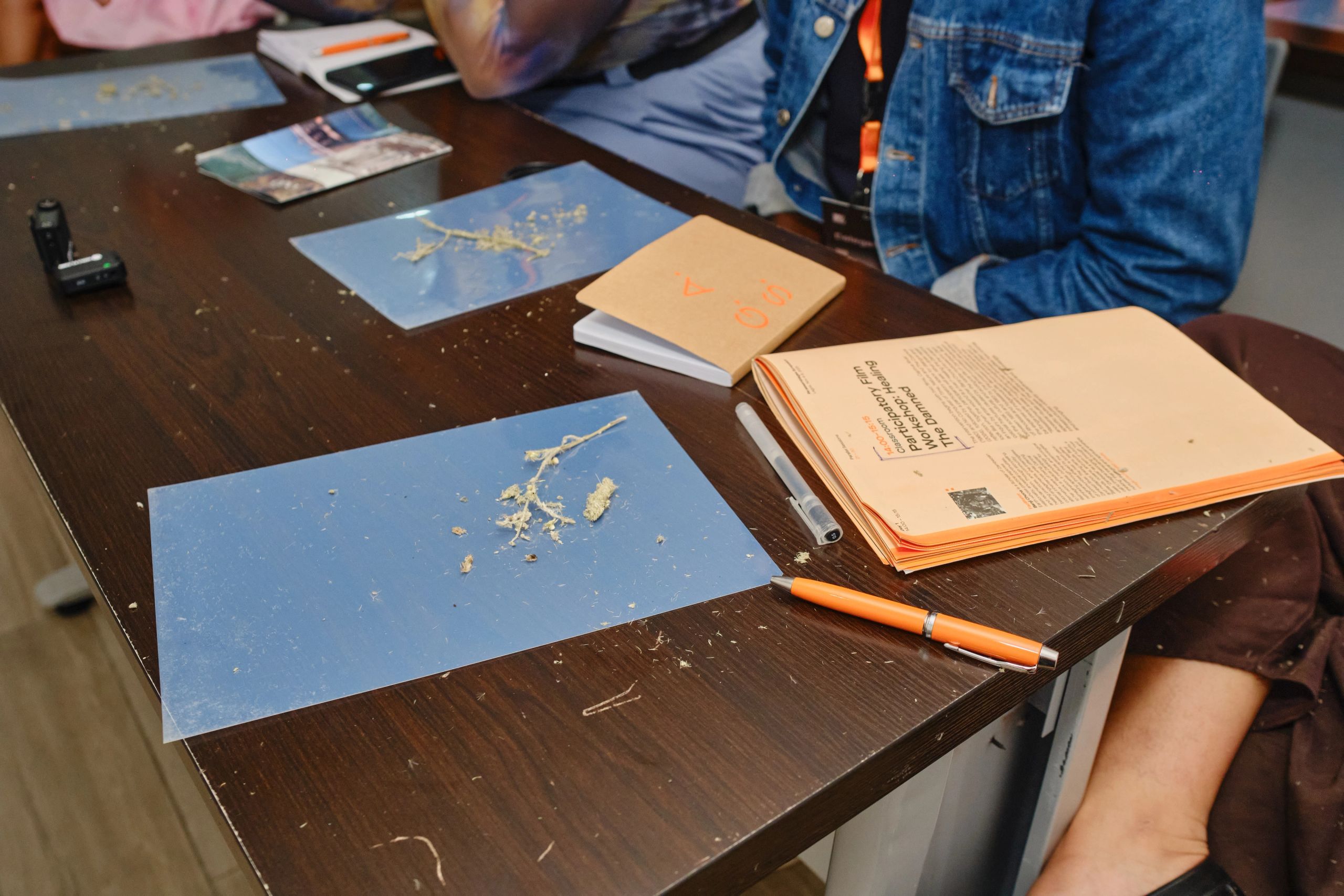 Dried plant root samples on blue sheets, documents, and an orange pen on a table during a workshop.