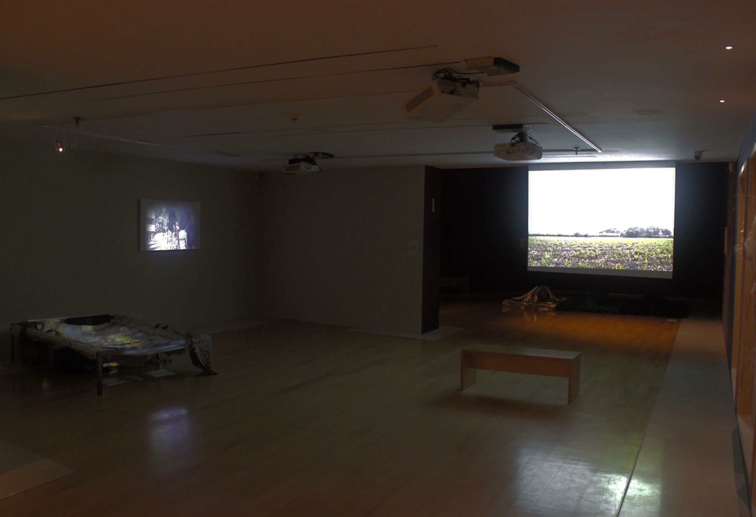 General view, Jean Lucumí, De cara al sol, 2019, y Jhona Jhon Campo, La aguja marica.