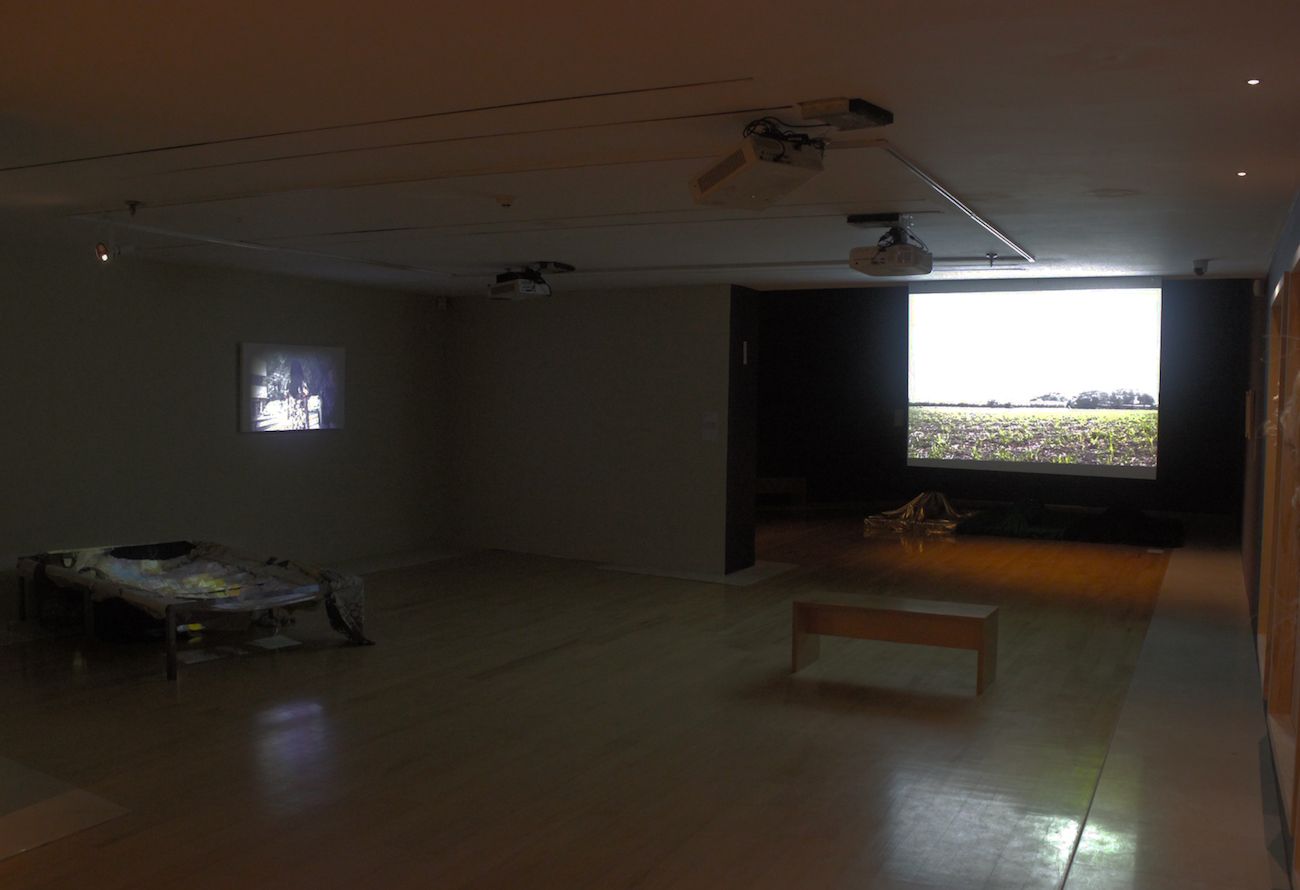 General view, Jean Lucumí, De cara al sol, 2019, y Jhona Jhon Campo, La aguja marica.