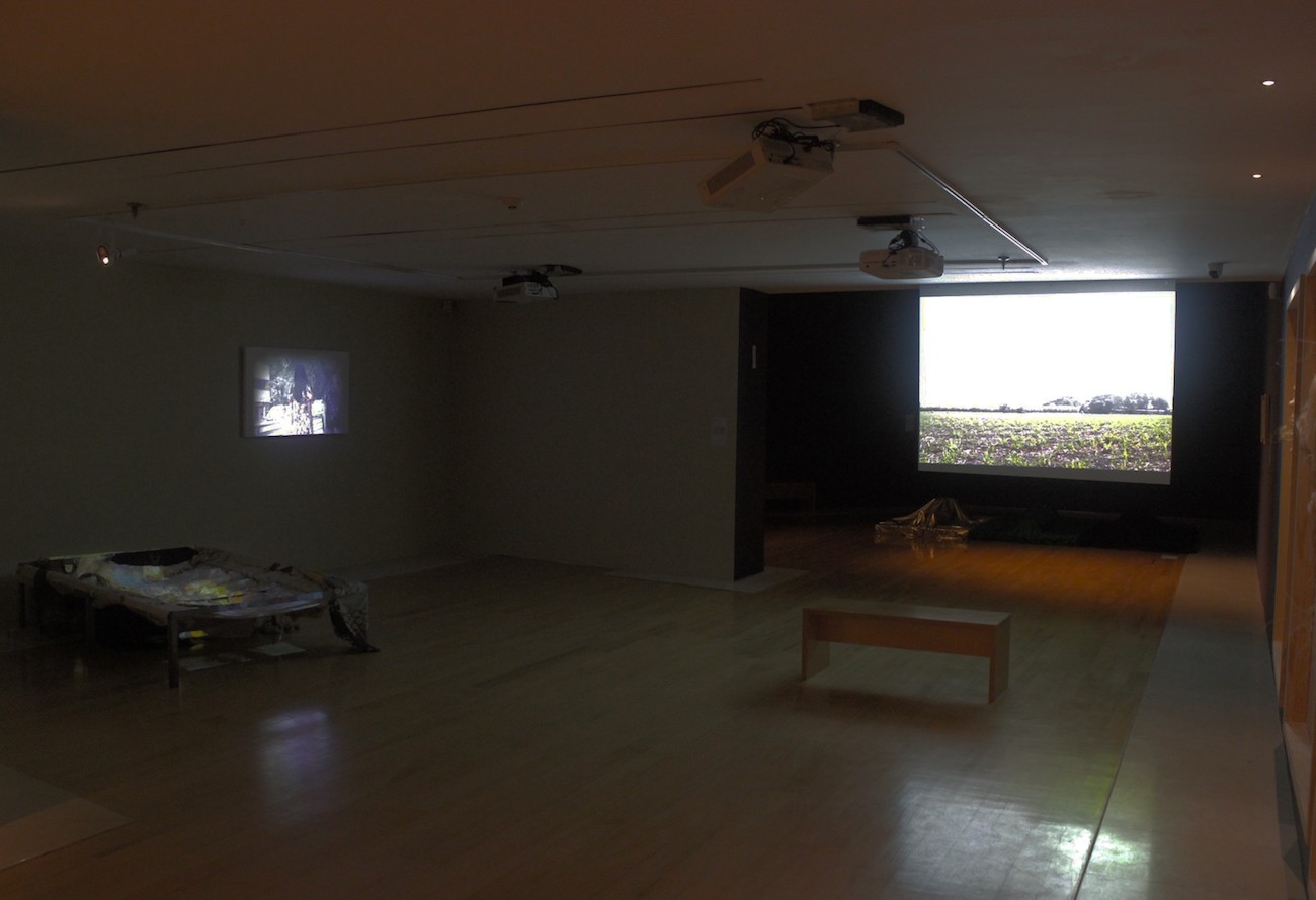 General view, Jean Lucumí, De cara al sol, 2019, y Jhona Jhon Campo, La aguja marica.
