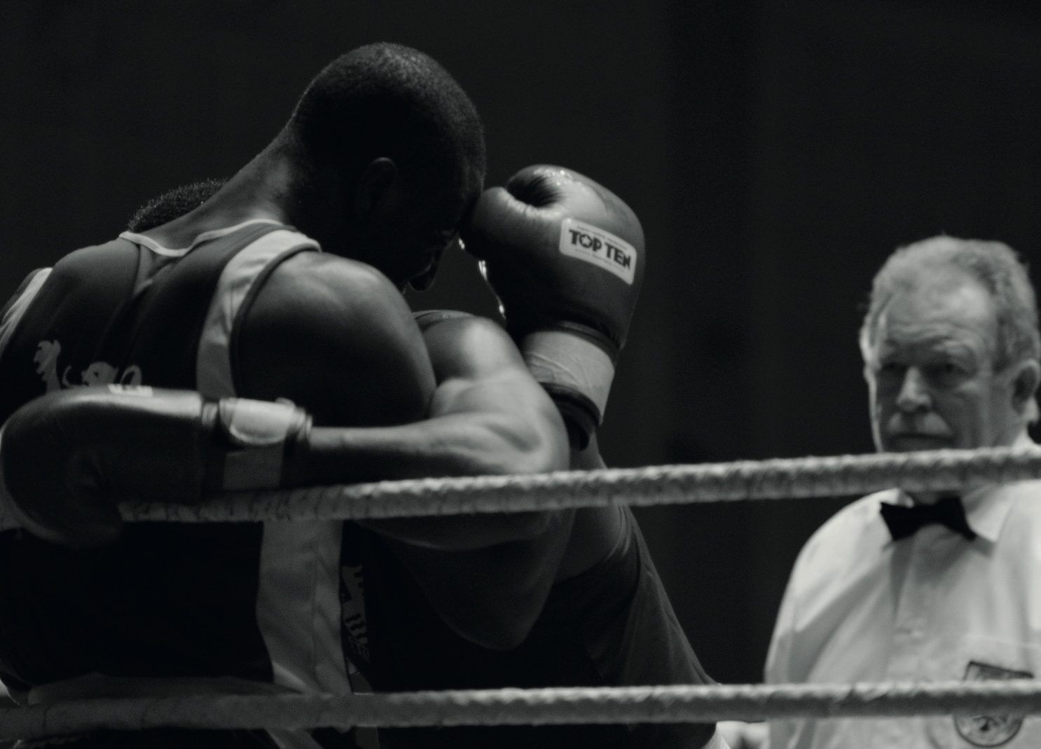 Friendly Confrontations – Festival Of Global Art And Criticism Of Institutions