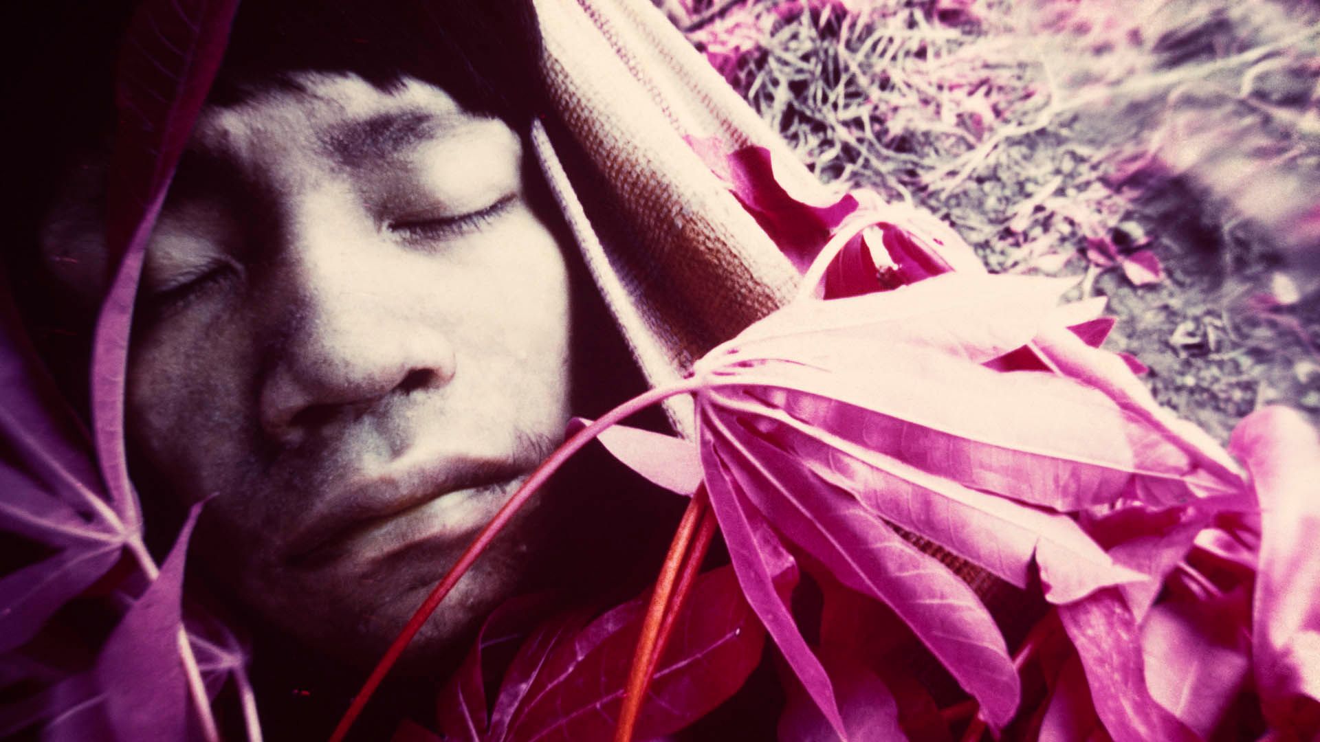 Claudia Andujar – A luta Yanomami