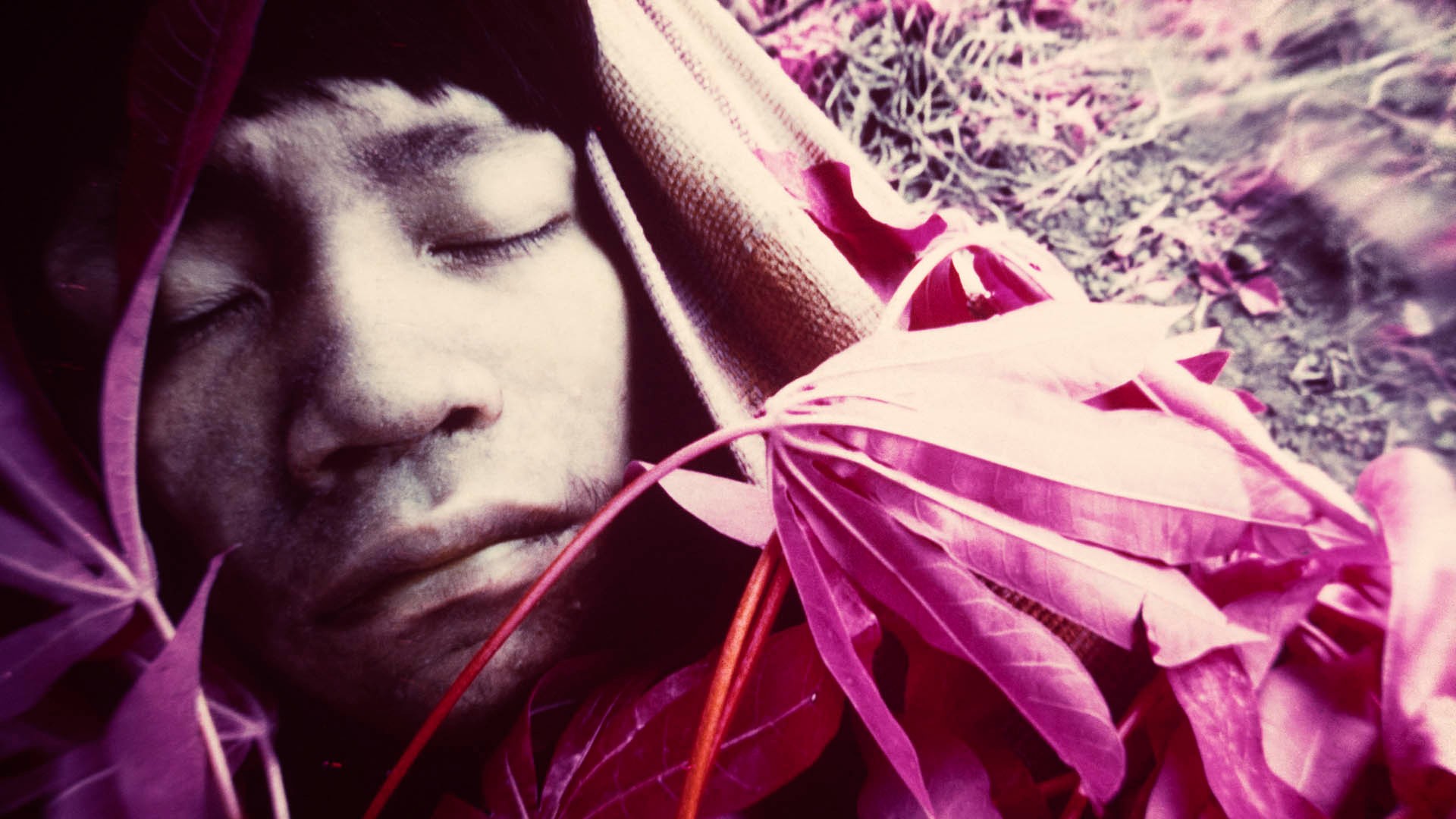 Claudia Andujar – A luta Yanomami