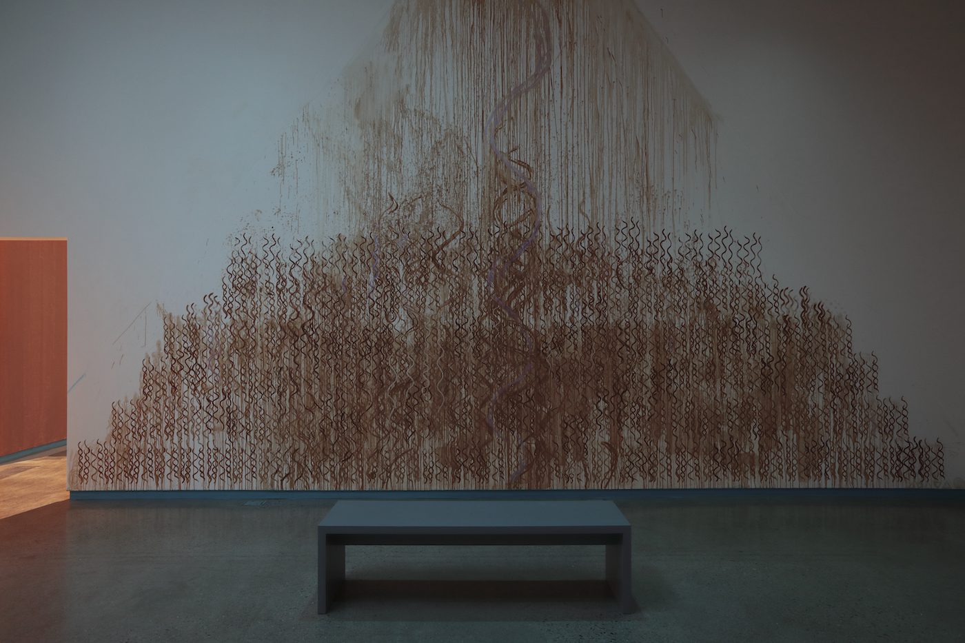 Dineo Seshee Bopape, Installation view. Courtesy of the artist and the Institute for Contemporary Art at VCU.