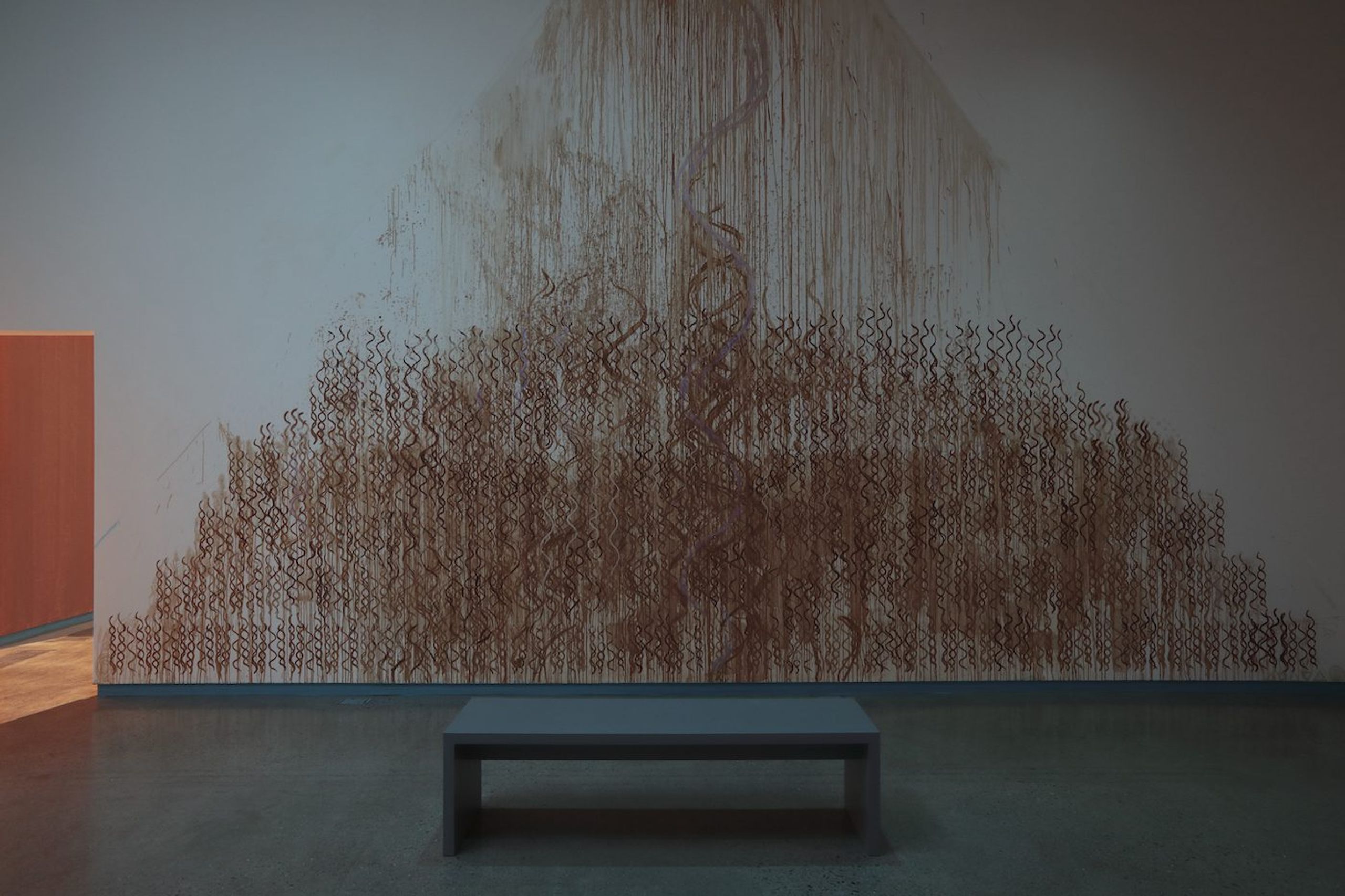 Dineo Seshee Bopape, Installation view. Courtesy of the artist and the Institute for Contemporary Art at VCU.