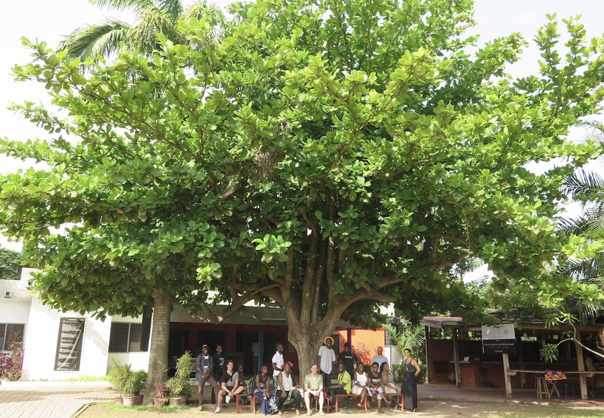 Curatorial Intensive in Kampala
