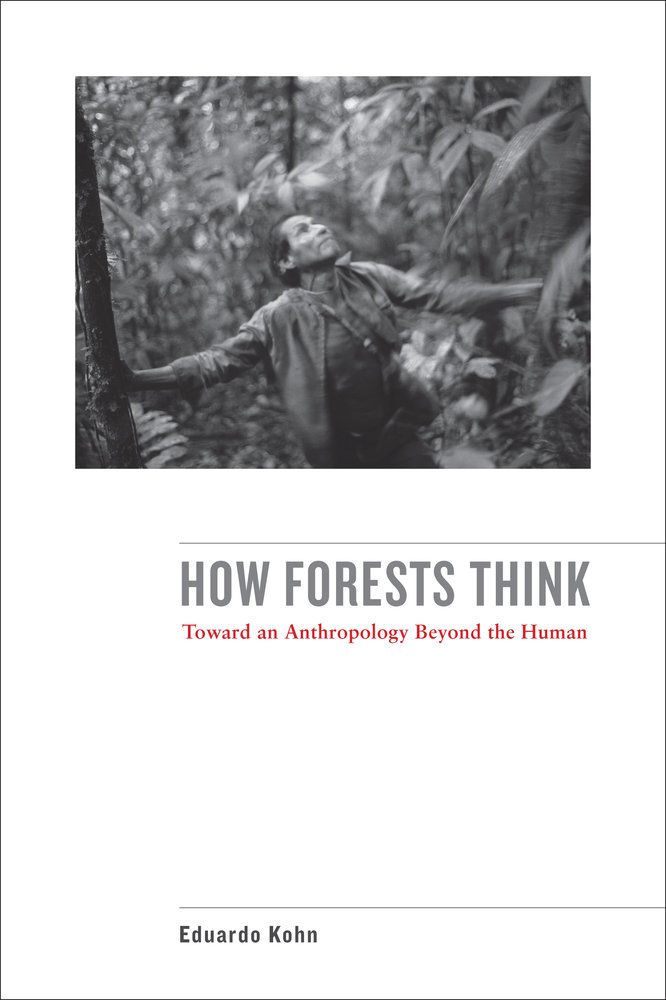Book cover “How Forests Think – Toward an Anthropology Beyond the Human” by Eduardo Kohn