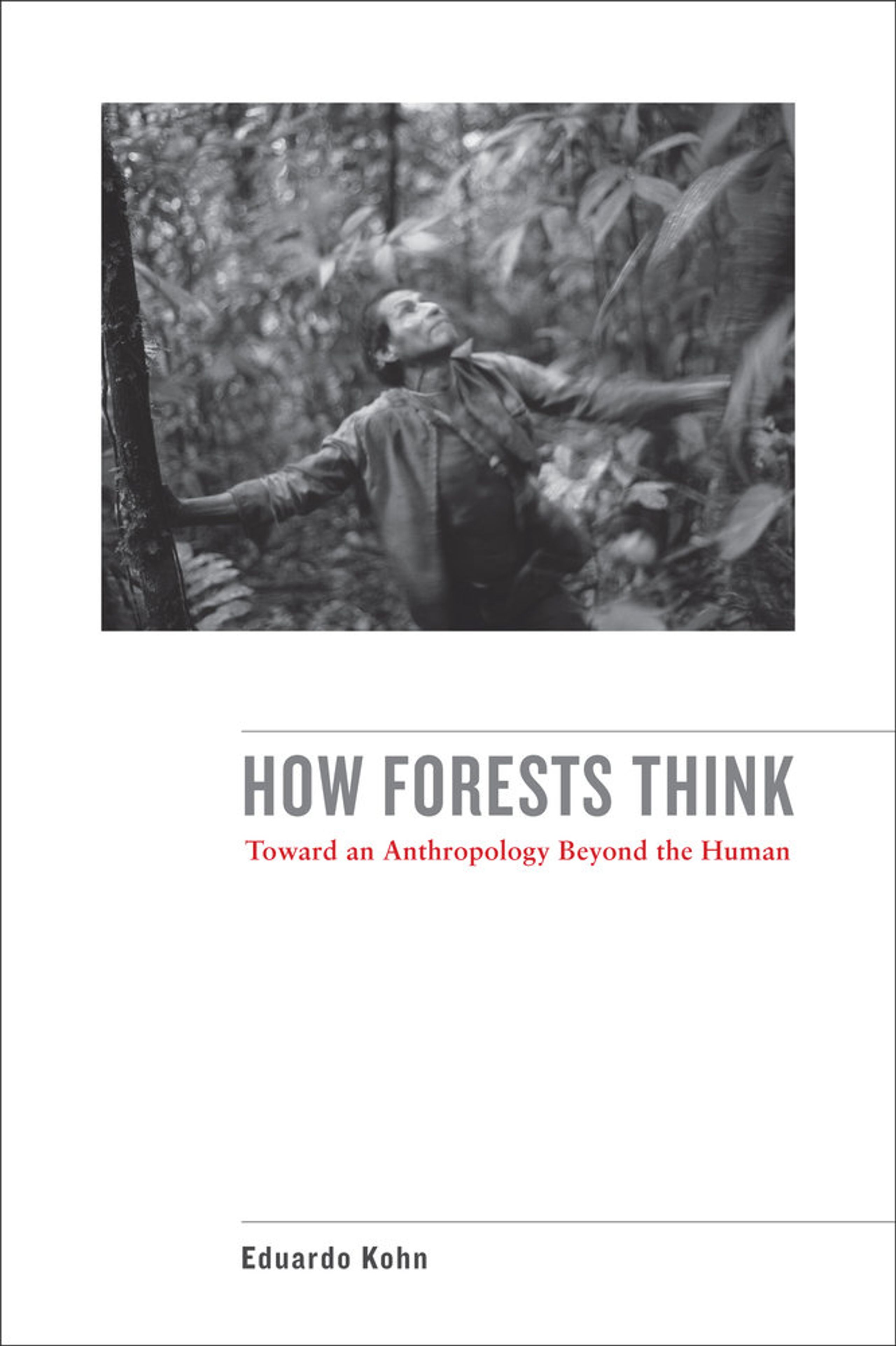 Book cover “How Forests Think – Toward an Anthropology Beyond the Human” by Eduardo Kohn