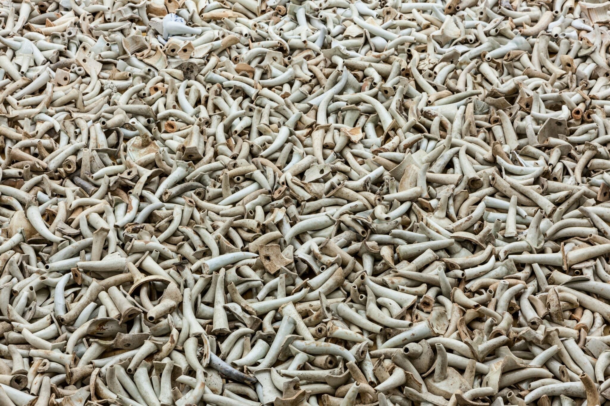 Ai Weiwei – Restablecer memorias