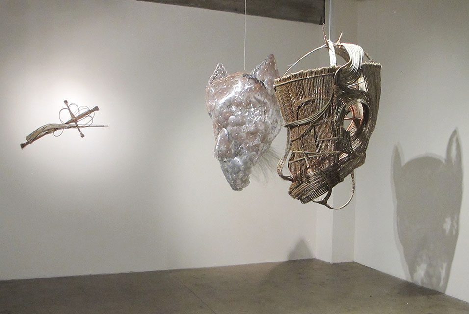 Adejoke Tugbiyele: Grassroots