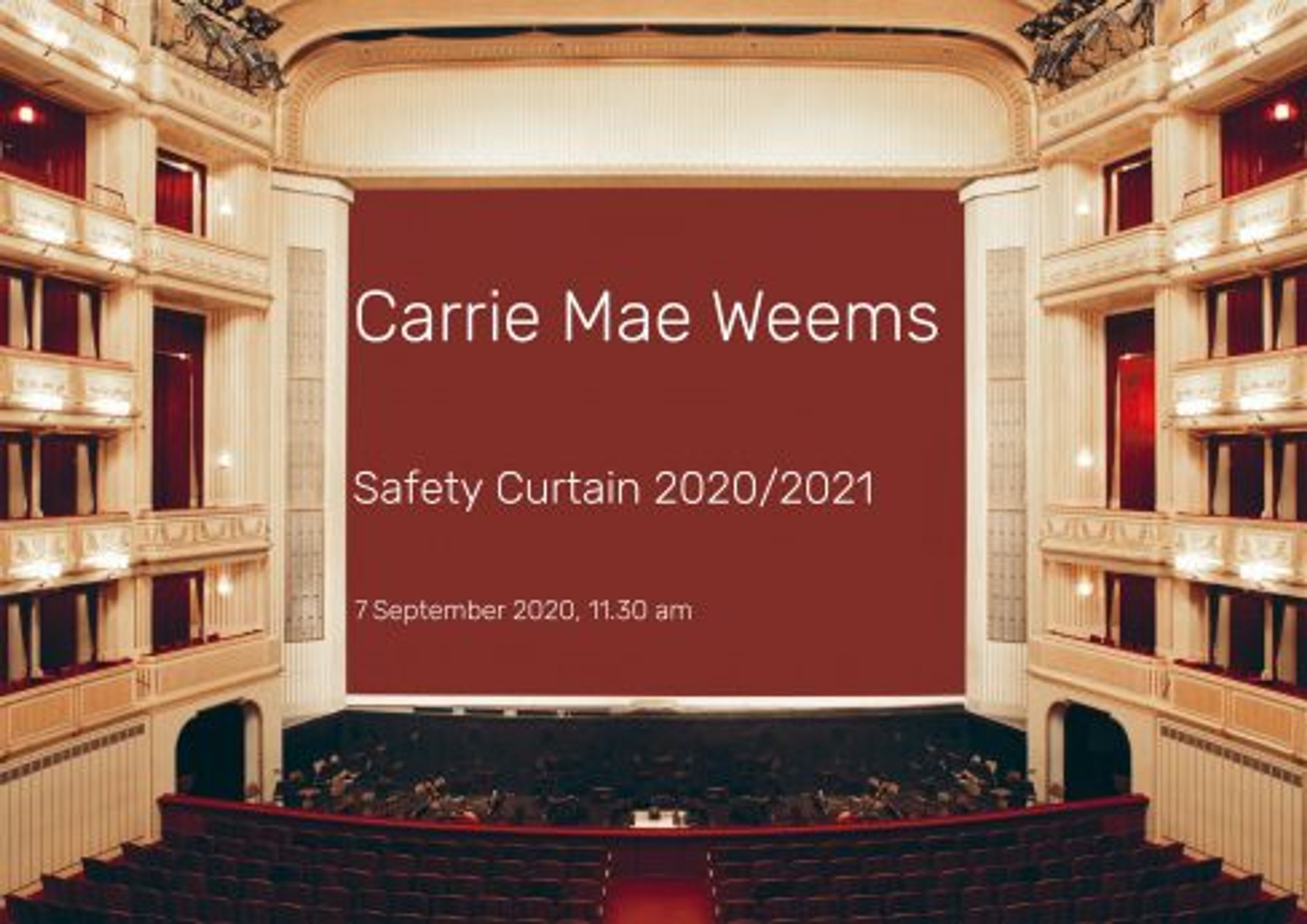 Carrie Mae Weems: Safety Curtain