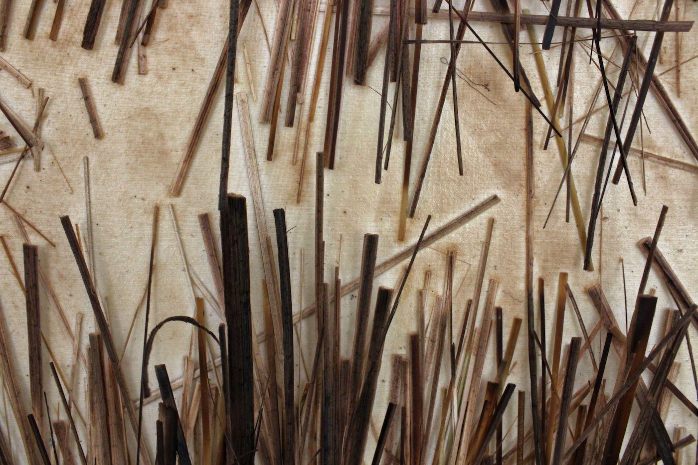 What is South Africa, Even? Vol.2 | Curated by Carlyn Strydom