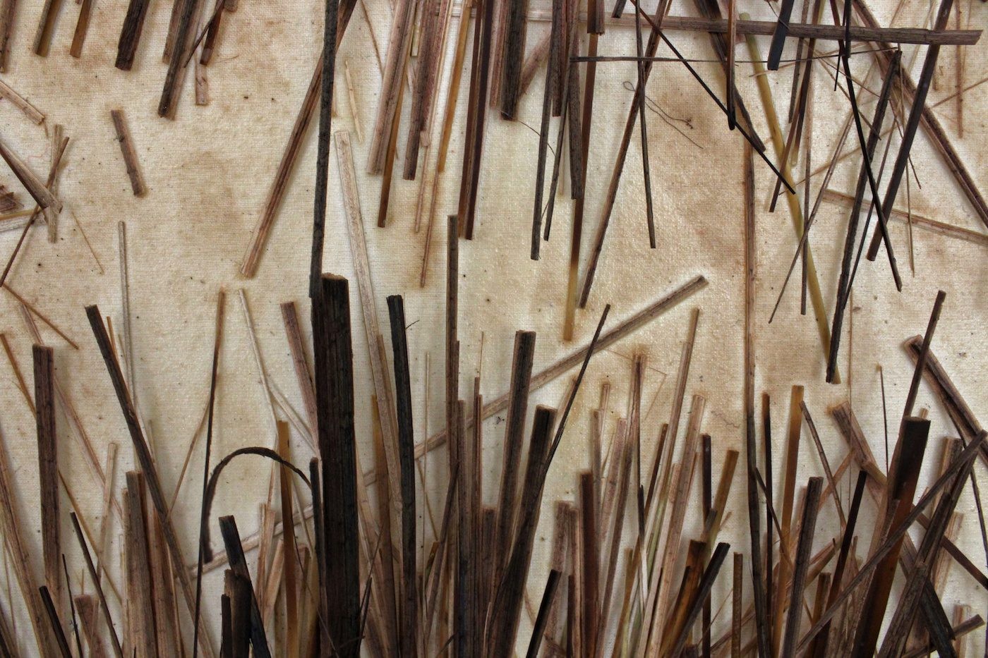 What is South Africa, Even? Vol.2 | Curated by Carlyn Strydom