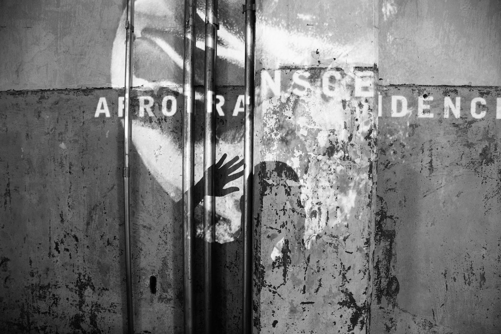 AfroTranscendence - Foto Alile Dara Onawale