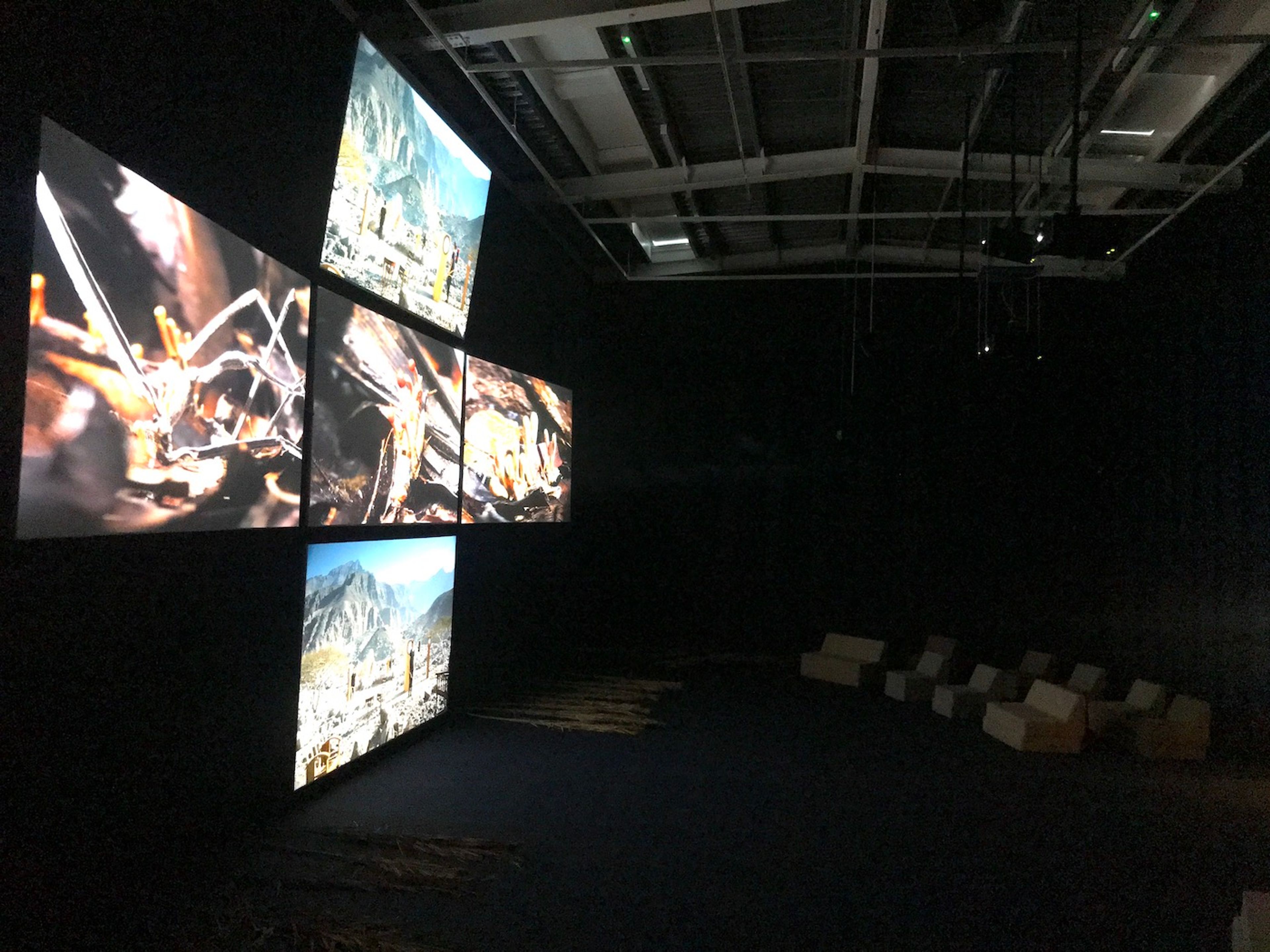 John Akomfrah Arcadia, (Detail). Installation view at Sharjah Biennial 15. Photo: C&amp;.