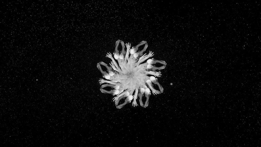 Jim Chuchu: Invocations