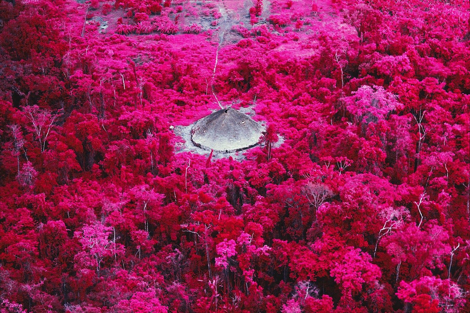 Claudia Andujar e seu Universo: Ciência, Sustentabilidade e Espiritualidade