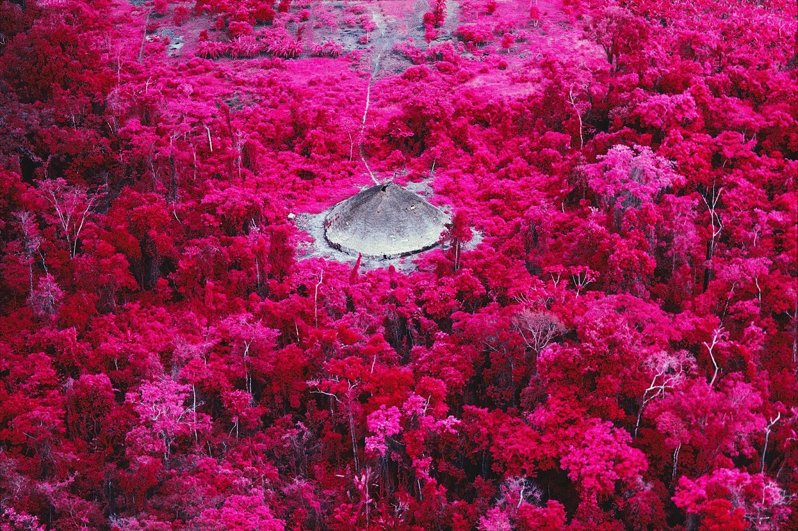 Claudia Andujar e seu Universo: Ciência, Sustentabilidade e Espiritualidade