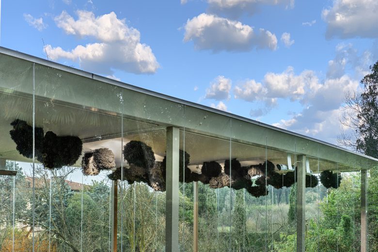 Sonia Elizabeth Barrett: Sky