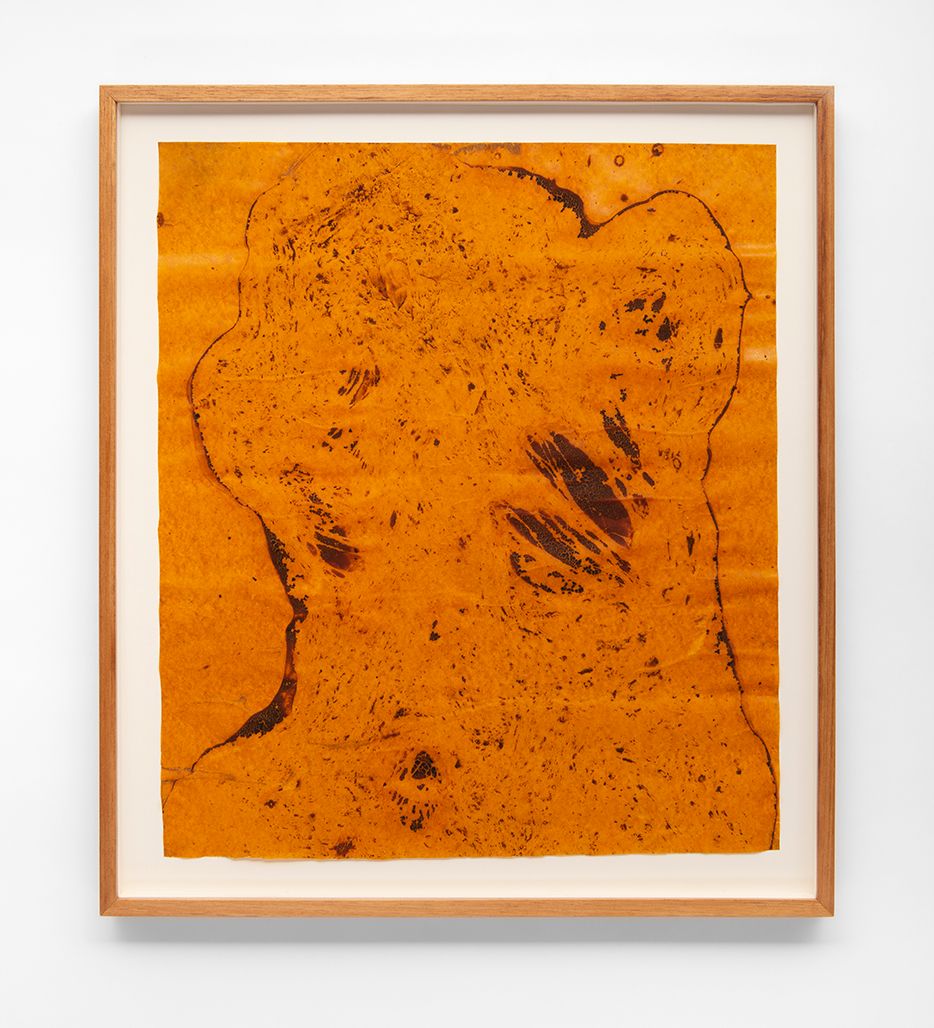 Untitled, a work from the series monotypes The Second Kind of Absence in which the artist continues his research with material skin. Photo: Ivan Padovani/Press Photo