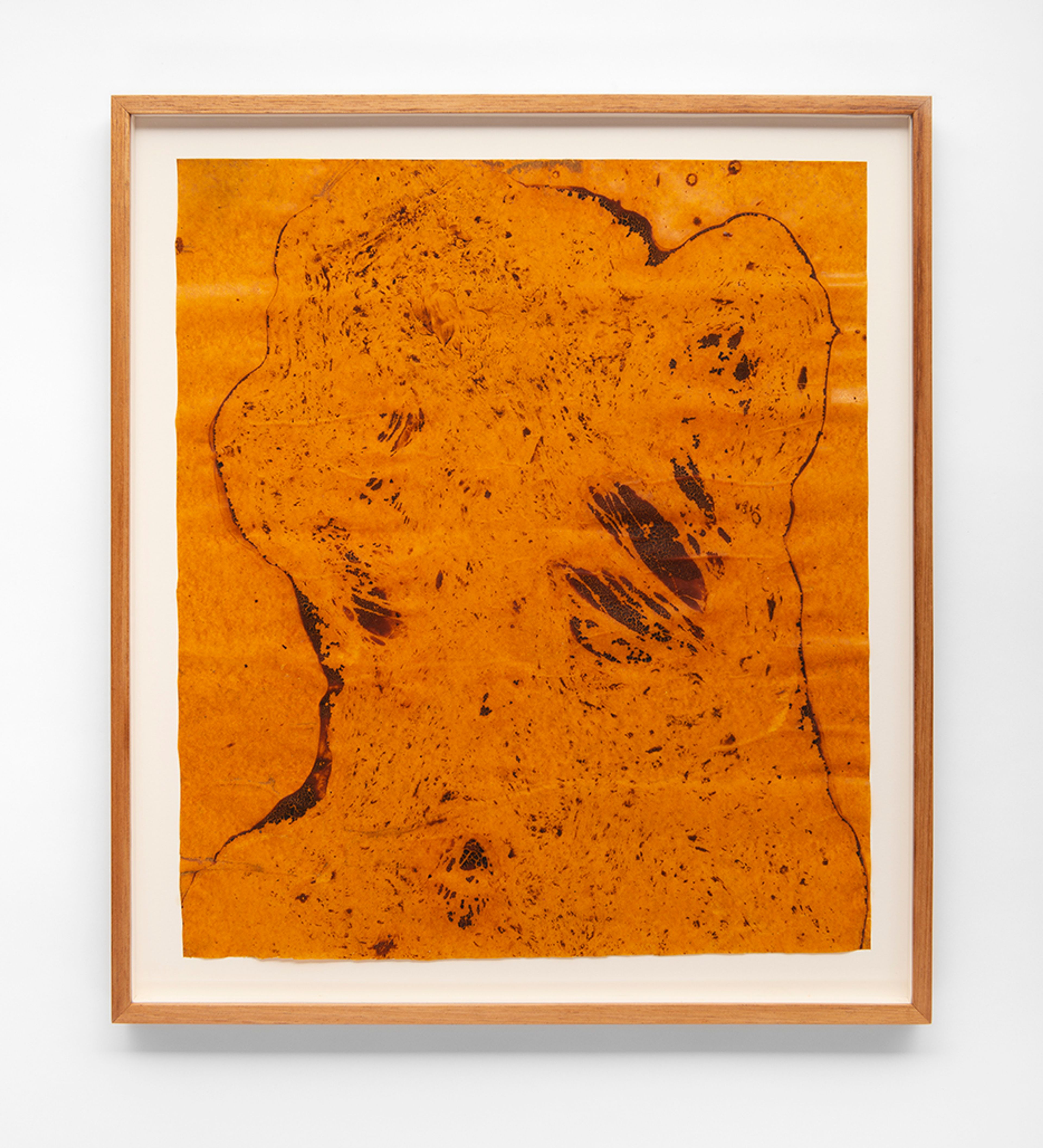 Untitled, a work from the series monotypes The Second Kind of Absence in which the artist continues his research with material skin. Photo: Ivan Padovani/Press Photo