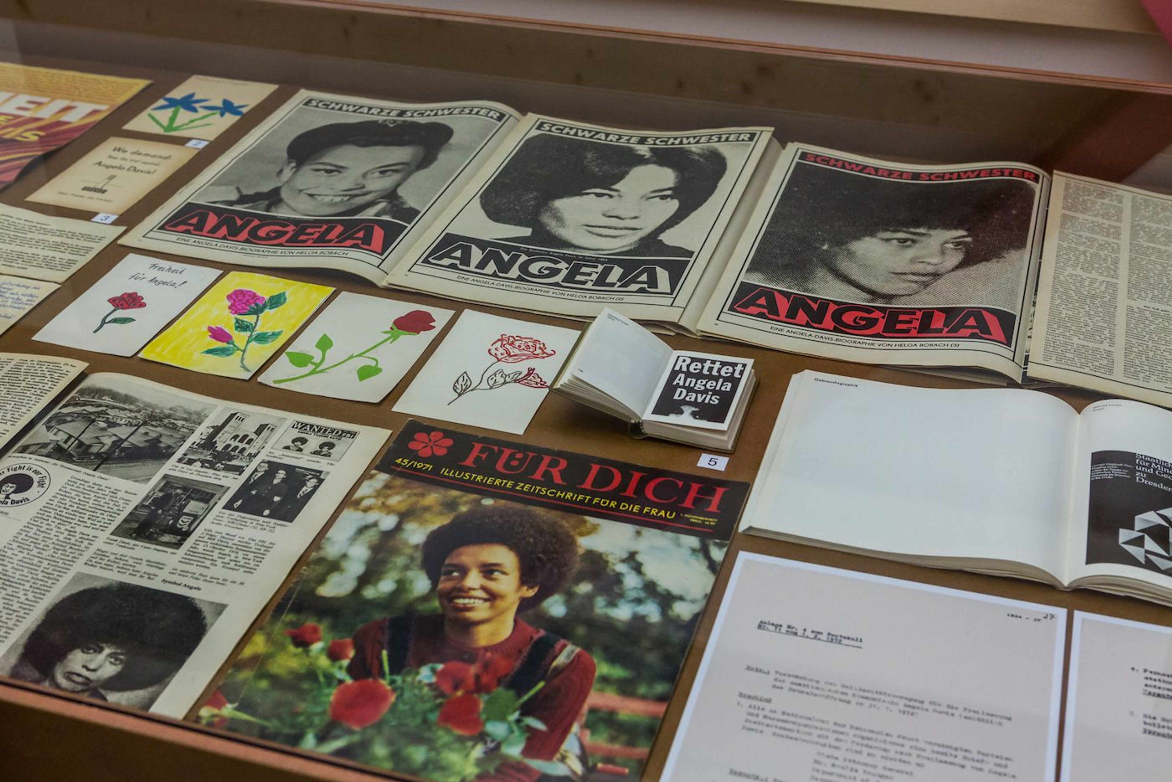 1 Million Roses for Angela Davis - Contemporary And