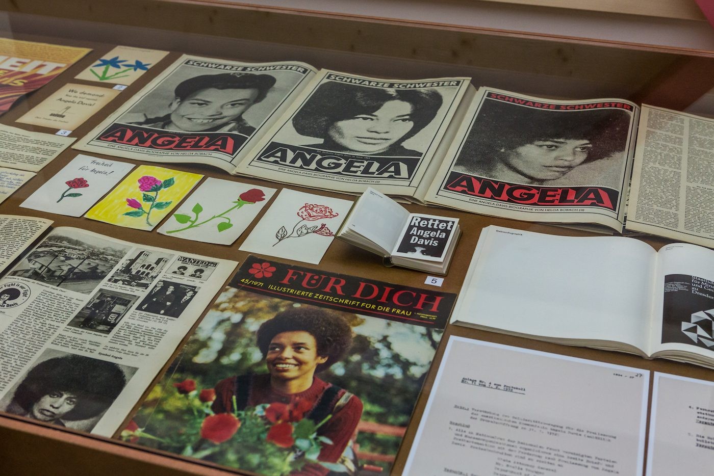 1 Million Roses for Angela Davis - Contemporary And