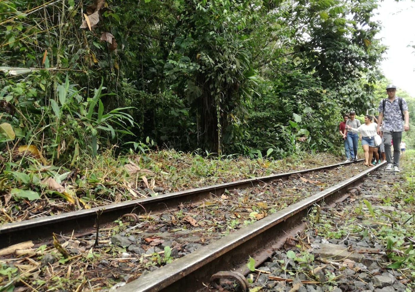 Memory and Amnesia in the Colombian Pacific